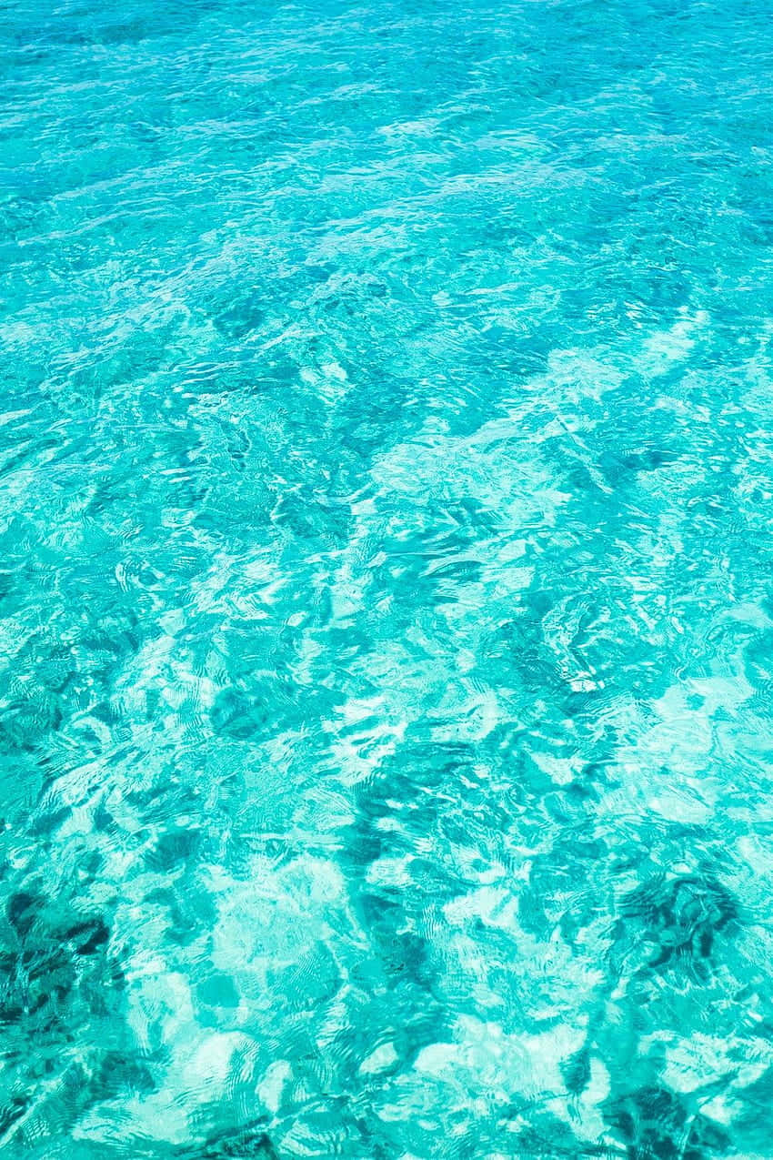 海洋藍 桌布 壁紙 — 陽光在漣漪的碧綠水面上舞動，顯露出清澈的淺水和深色的水下岩石。