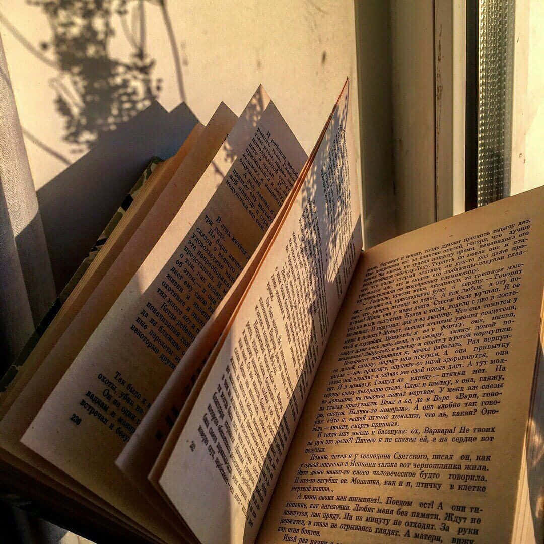 書本美學 桌布 壁紙 — 陽光將樹影投射在充滿俄文文字的打開書頁上，營造出寧靜的閱讀角落。