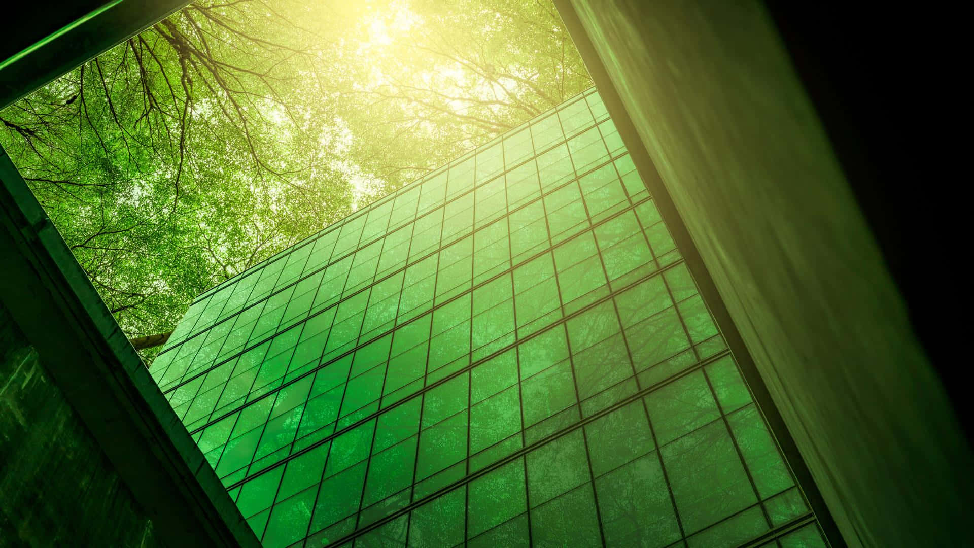 Green Finance 桌布 壁紙 — 陽光從低角度穿過茂密的綠樹，照射在現代玻璃建築上方。