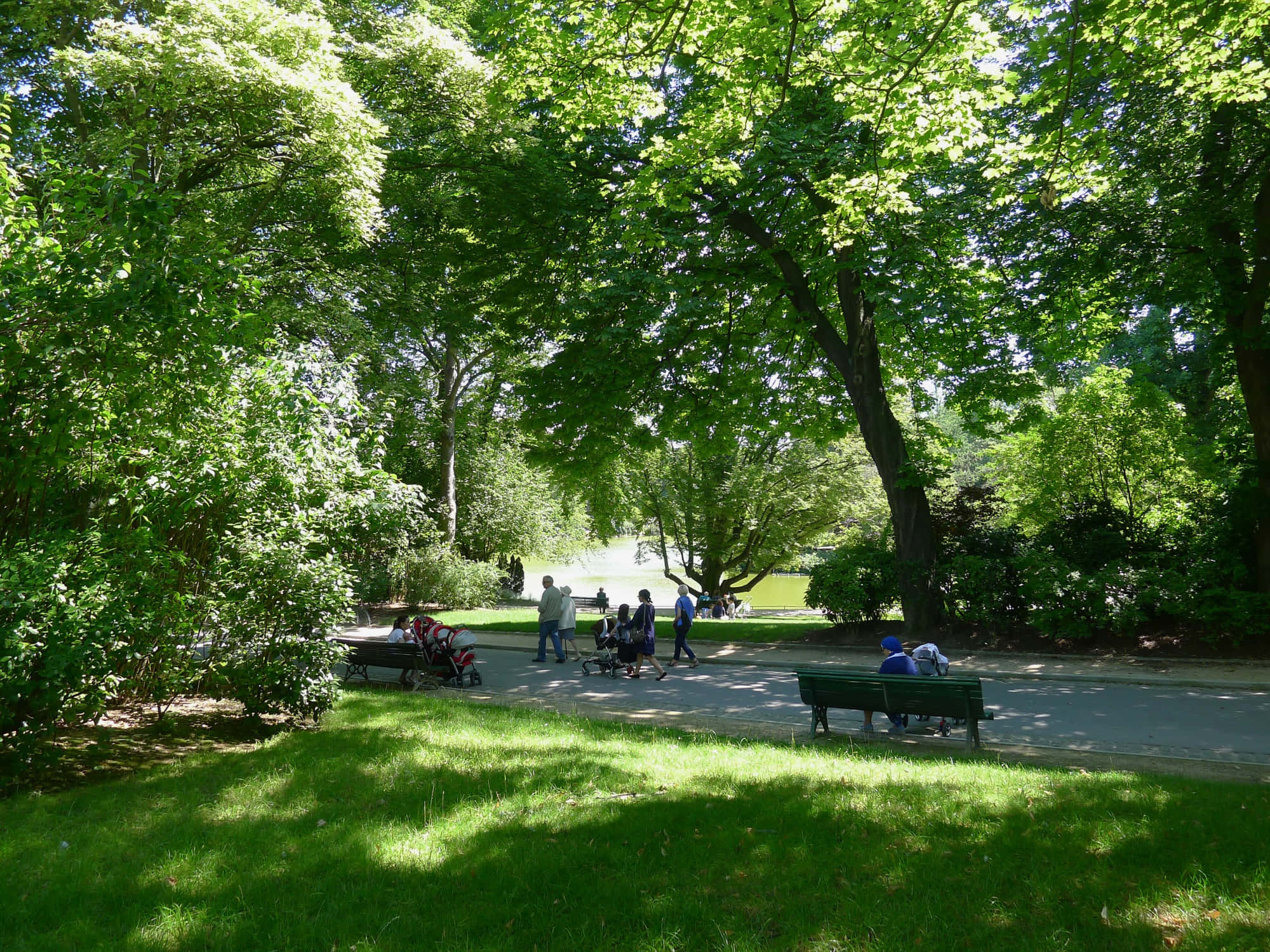 公園 桌布 壁紙 — 陽光斑駁的公園小徑，兩旁綠樹成蔭，設有長椅，人們在明亮的夏日陽光下漫步和休息。