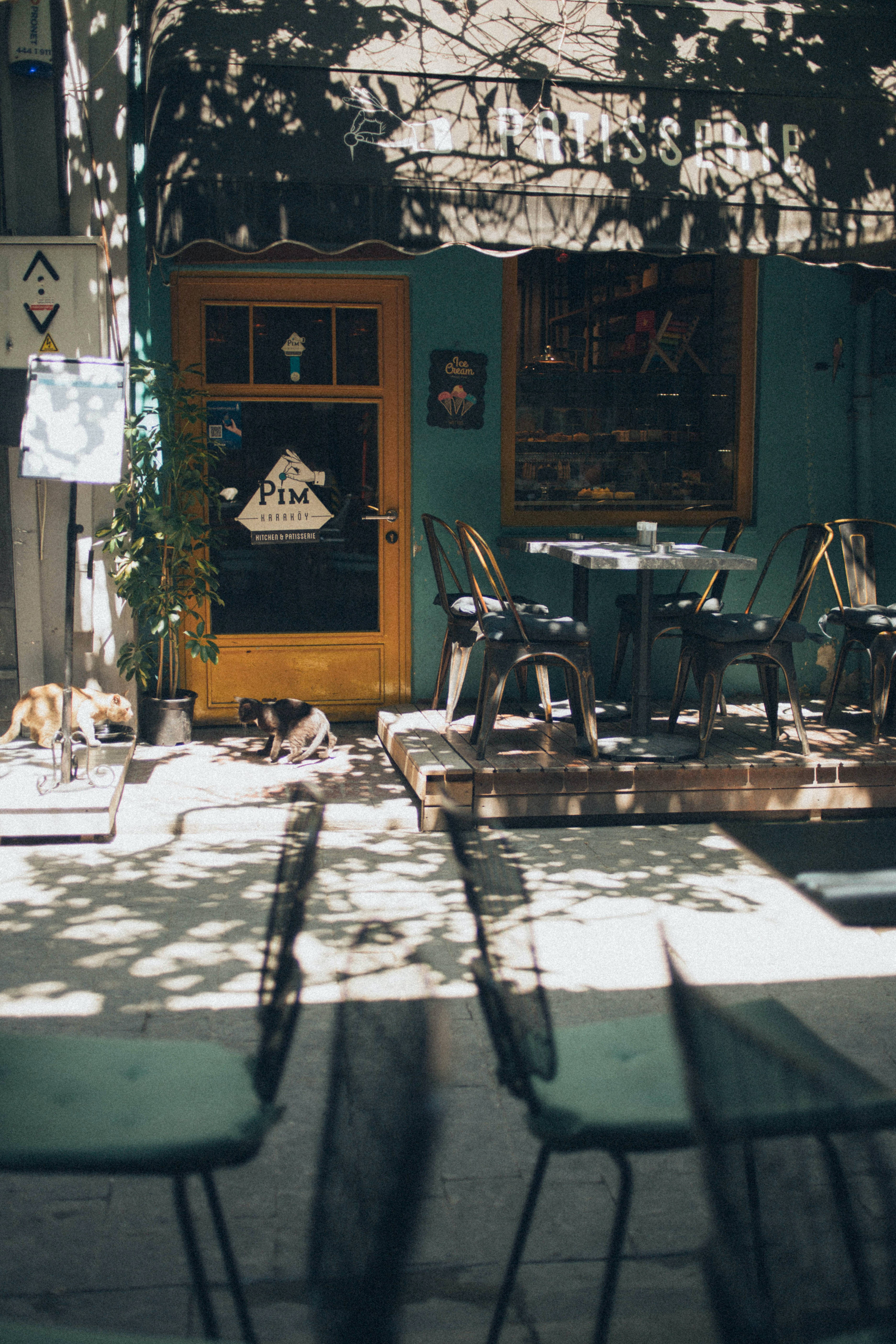 Coffee Shop 桌布 壁紙 — 陽光斑駁的行人路咖啡館，貓咪在青綠色店面和金屬椅子附近閒逛，樹蔭下光影交錯。