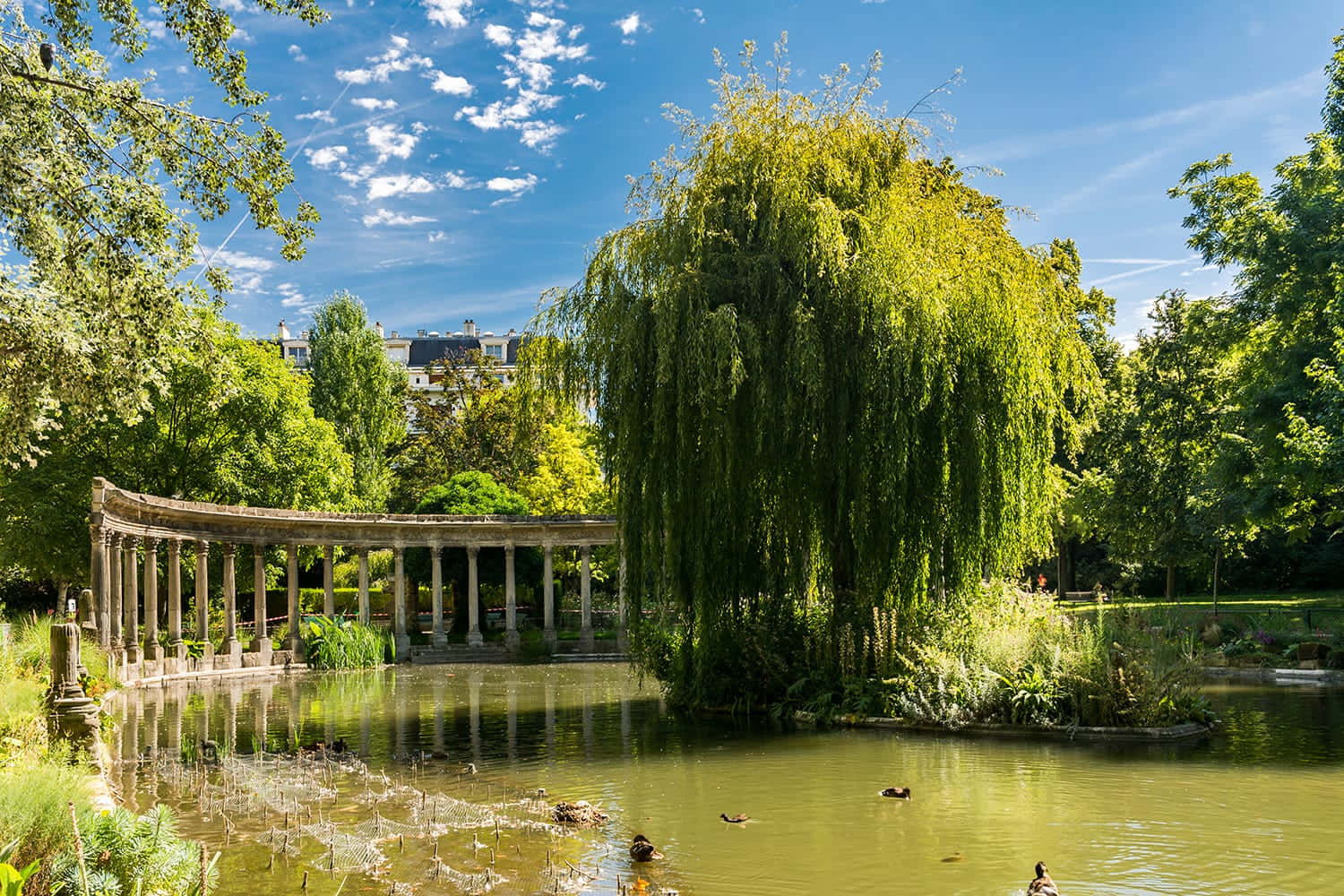 公園 桌布 壁紙 — 陽光明媚的公園池塘，鴨子在茂密的垂柳和石柱廊下游泳，藍天白雲。
