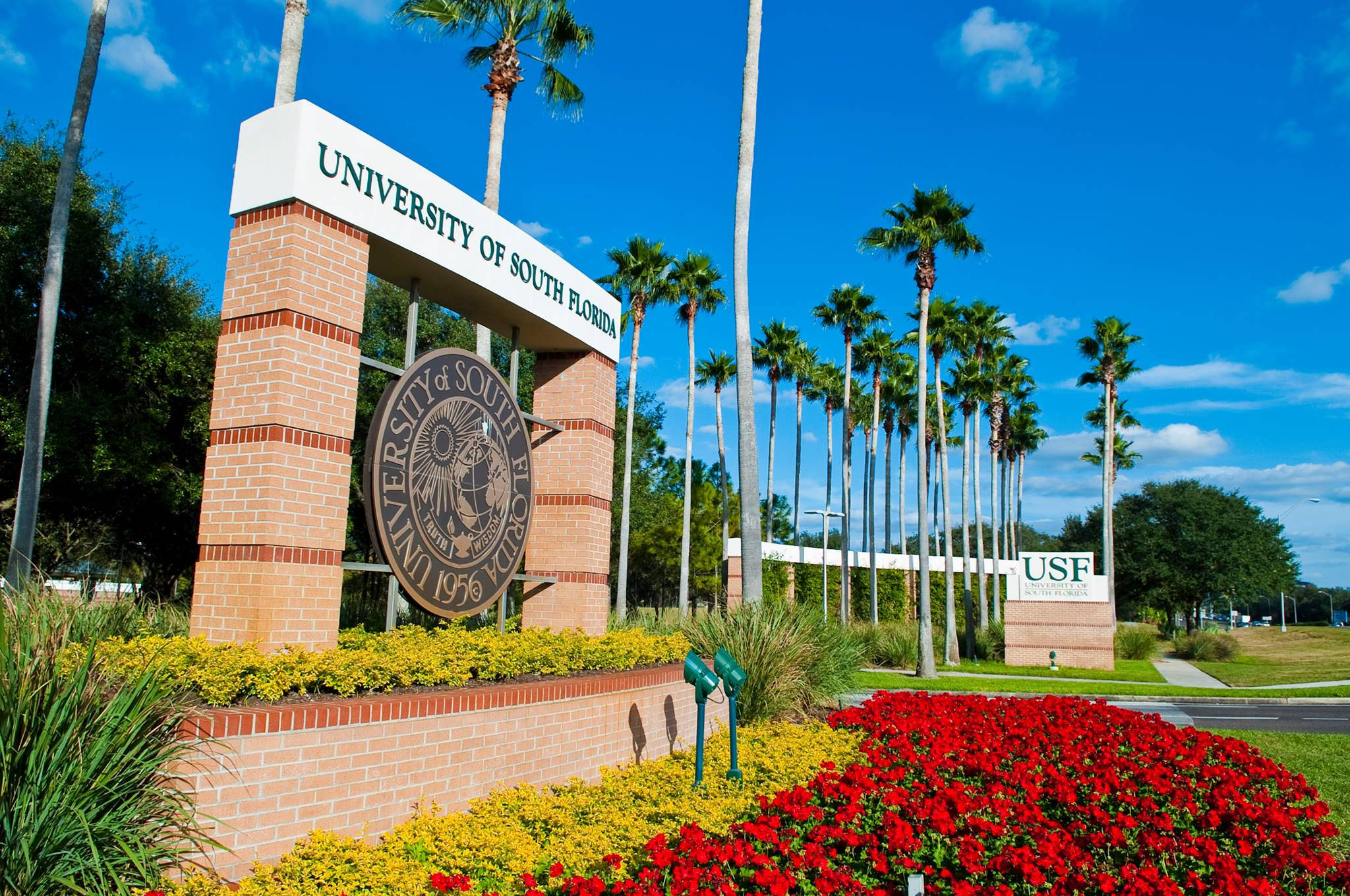 學校 桌布 壁紙 — 陽光明媚的校園入口，磚砌拱門上寫有「University of South Florida」標誌，周圍環繞棕櫚樹和鮮豔的紅黃花壇。
