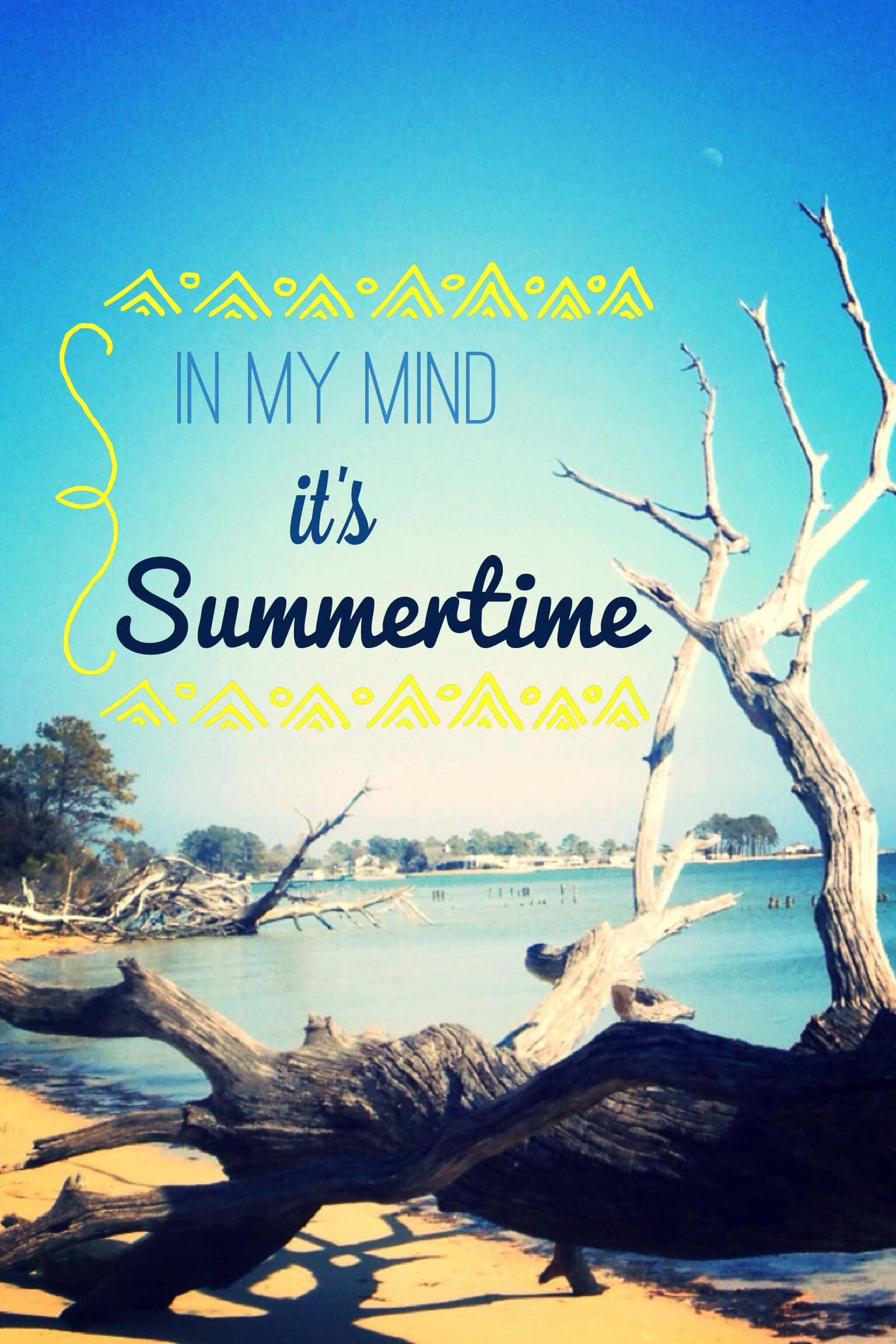 Summer Time iPhone 桌布 壁紙 — 陽光明媚的海灘場景，有浮木和清澈的藍天，並以風格化字體顯示文字「In My Mind it's Summertime」。