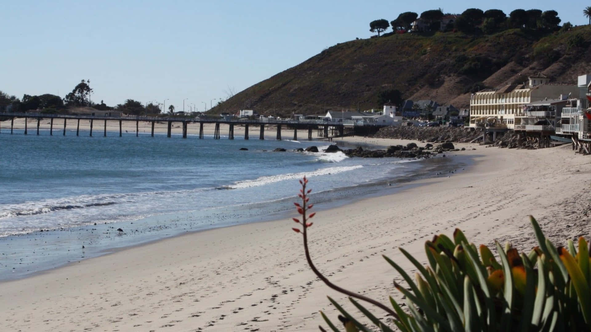 Beach Scene 桌布 壁紙 — 陽光明媚的海灘場景，溫柔的海浪拍打著海岸，長長的碼頭延伸入海，背景是山坡上的房屋和樹木。