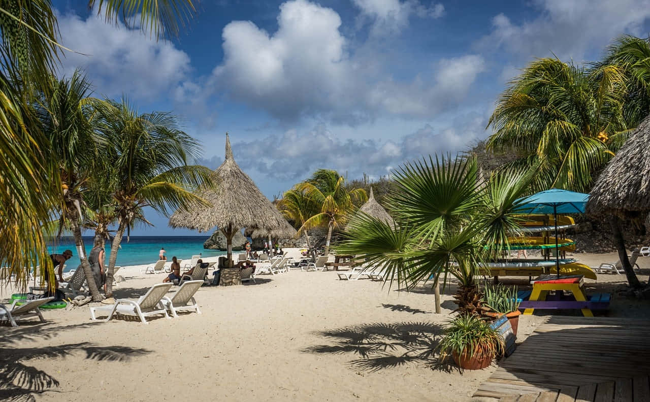 Caribbean Island 桌布 壁紙 — 陽光明媚的熱帶海灘，有棕櫚樹、茅草傘和躺椅，藍天白雲。