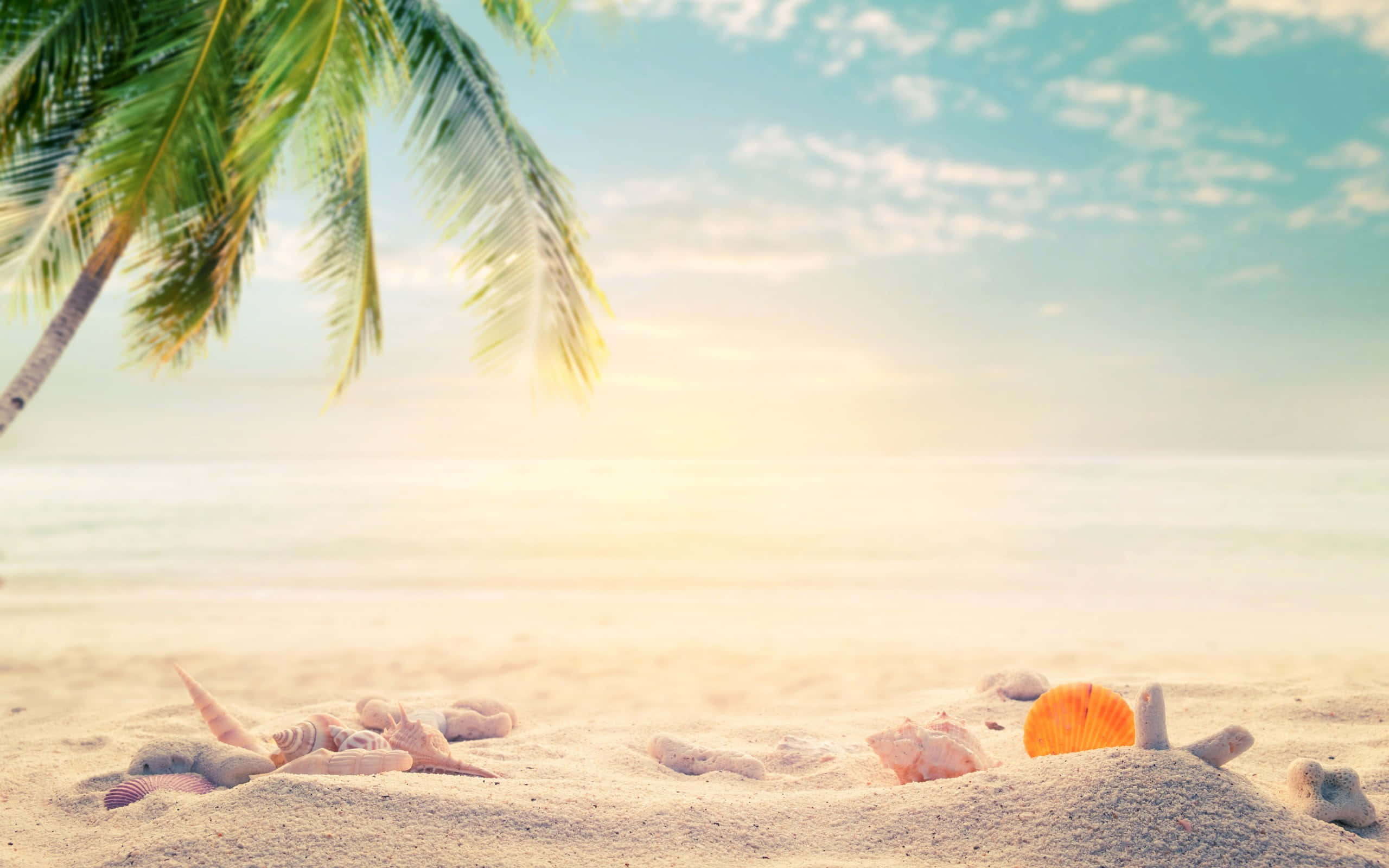 Beach Accessories 桌布 壁紙 — 陽光明媚的熱帶海灘，金色沙灘上散落著棕櫚葉和貝殼，天空柔和湛藍。