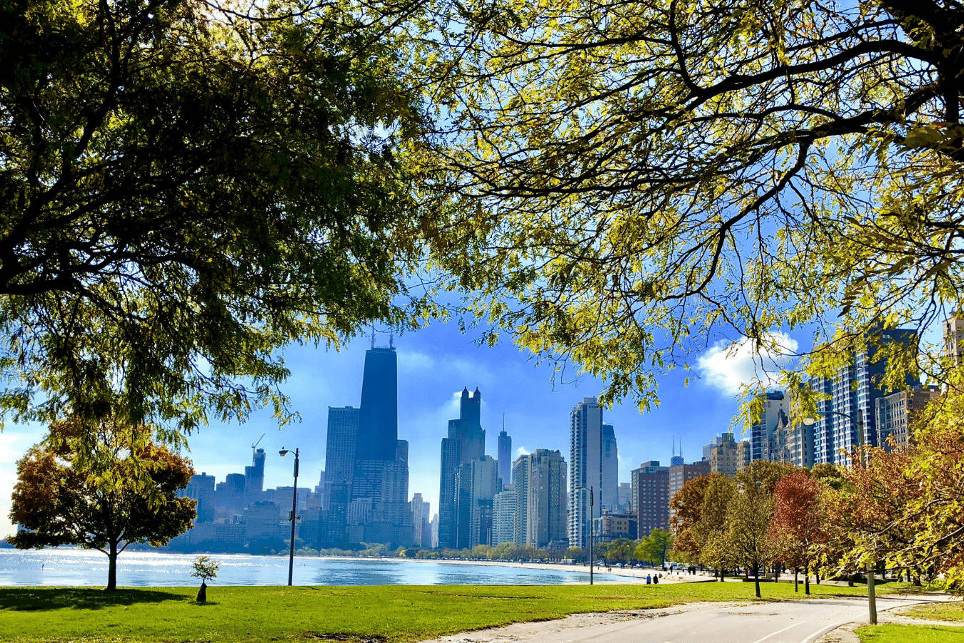 Illinois 桌布 壁紙 — 陽光明媚的秋樹在晴朗的藍天下，環繞著平靜湖泊對岸充滿活力的城市天際線。