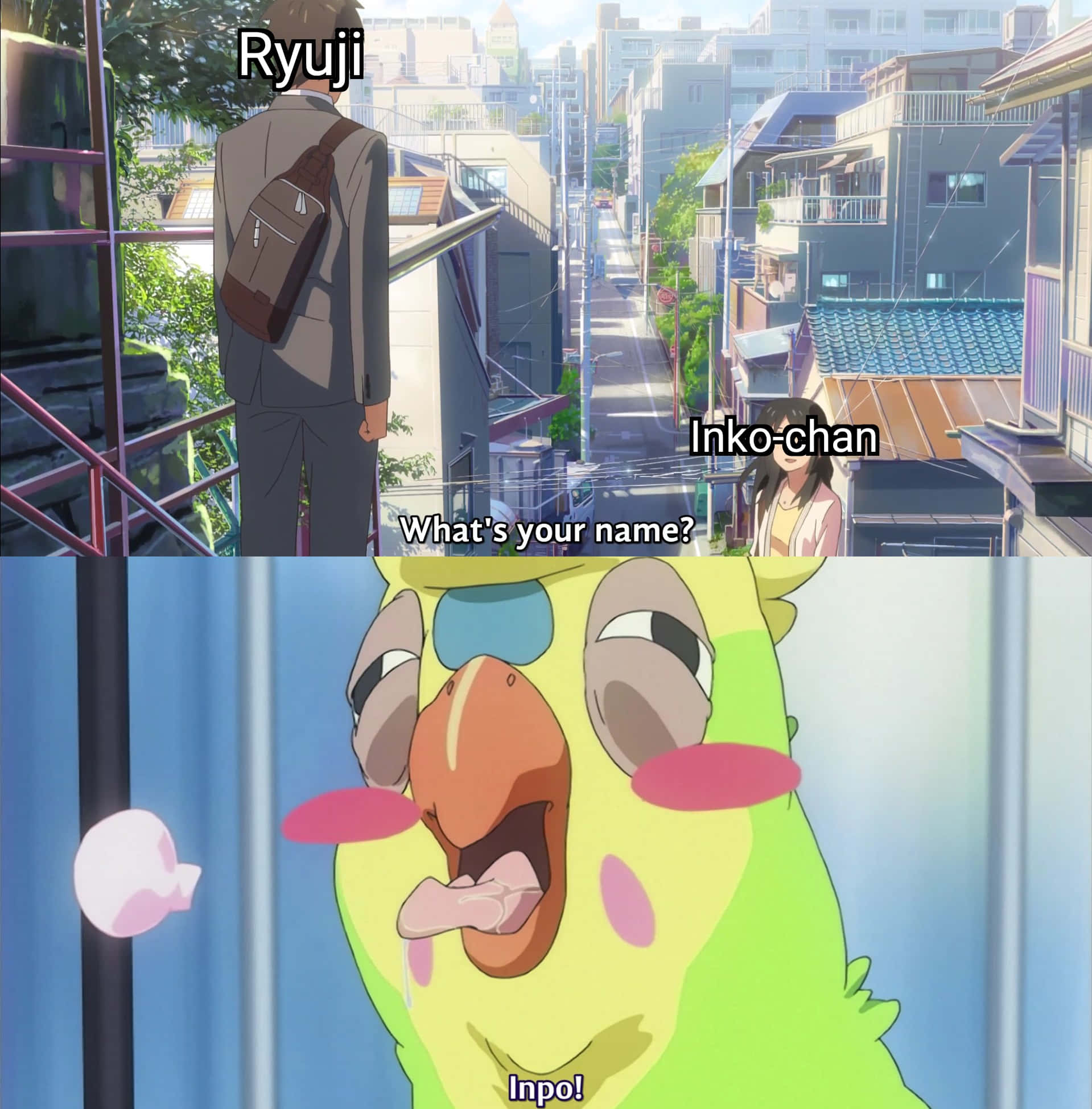 Toradora Inko 桌布 壁紙 — 陽光普照的城市小巷中，Ryuji 和 Inko-chan 的動畫場景，以及一隻名叫 Inpo 的綠色鸚鵡驚訝表情的特寫。