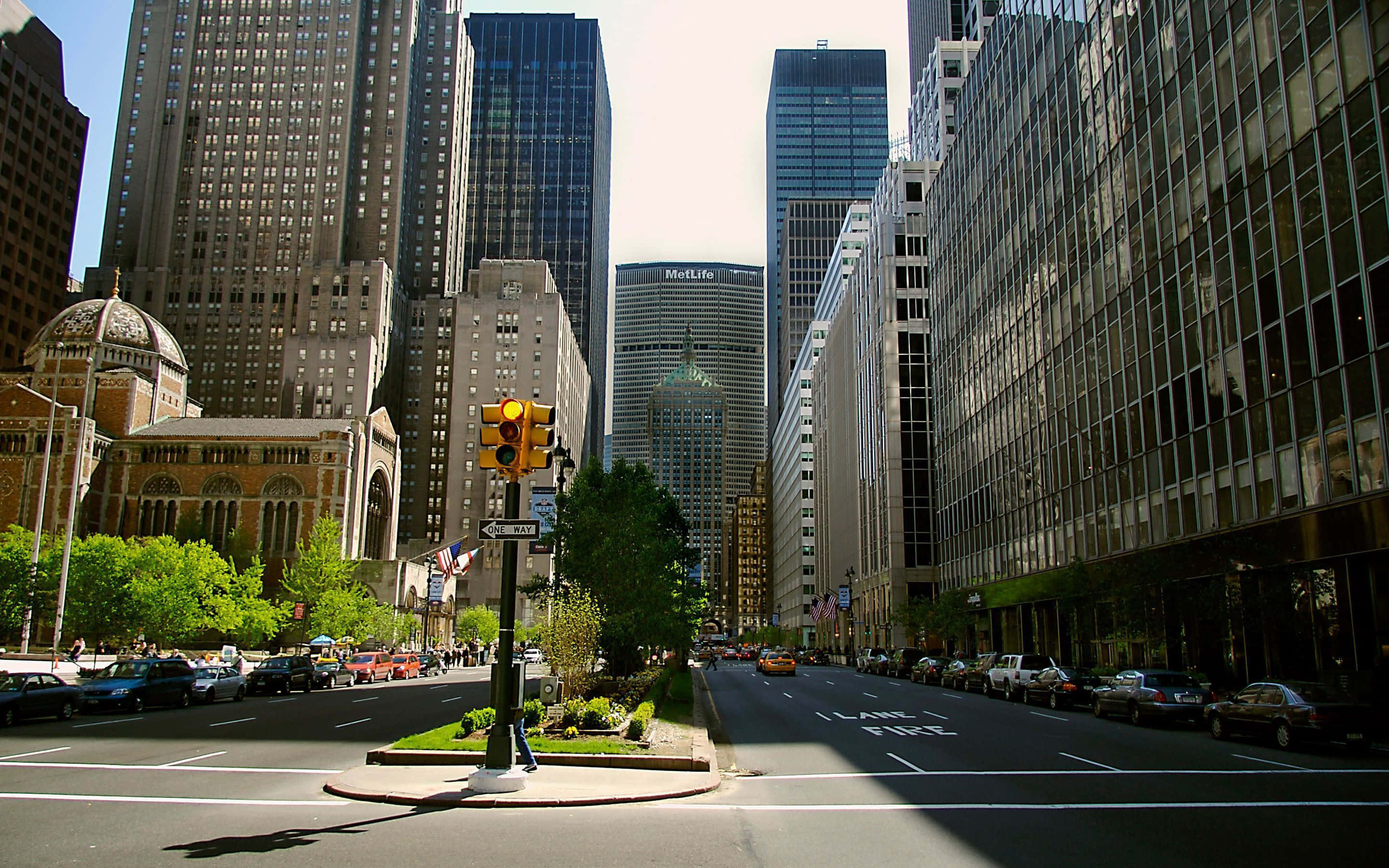 City Street 桌布 壁紙 — 陽光普照的城市街道，兩旁是高聳的玻璃和石造摩天大樓，還有茂密的綠樹和交通號誌。