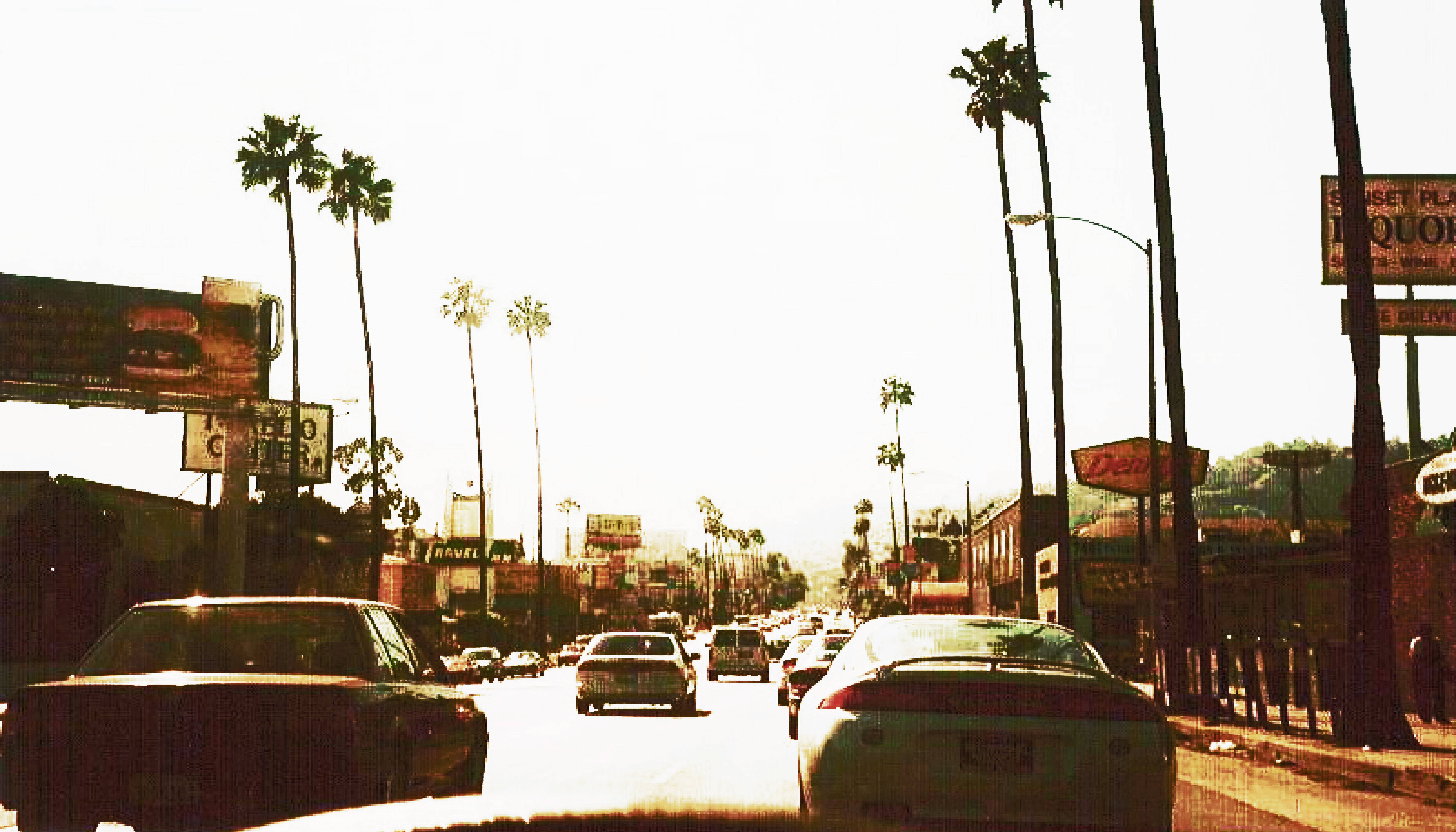 Boulevard 桌布 壁紙 — 陽光普照的城市街道，兩旁種滿高大的棕櫚樹，在朦朧的天空下停著經典老爺車。