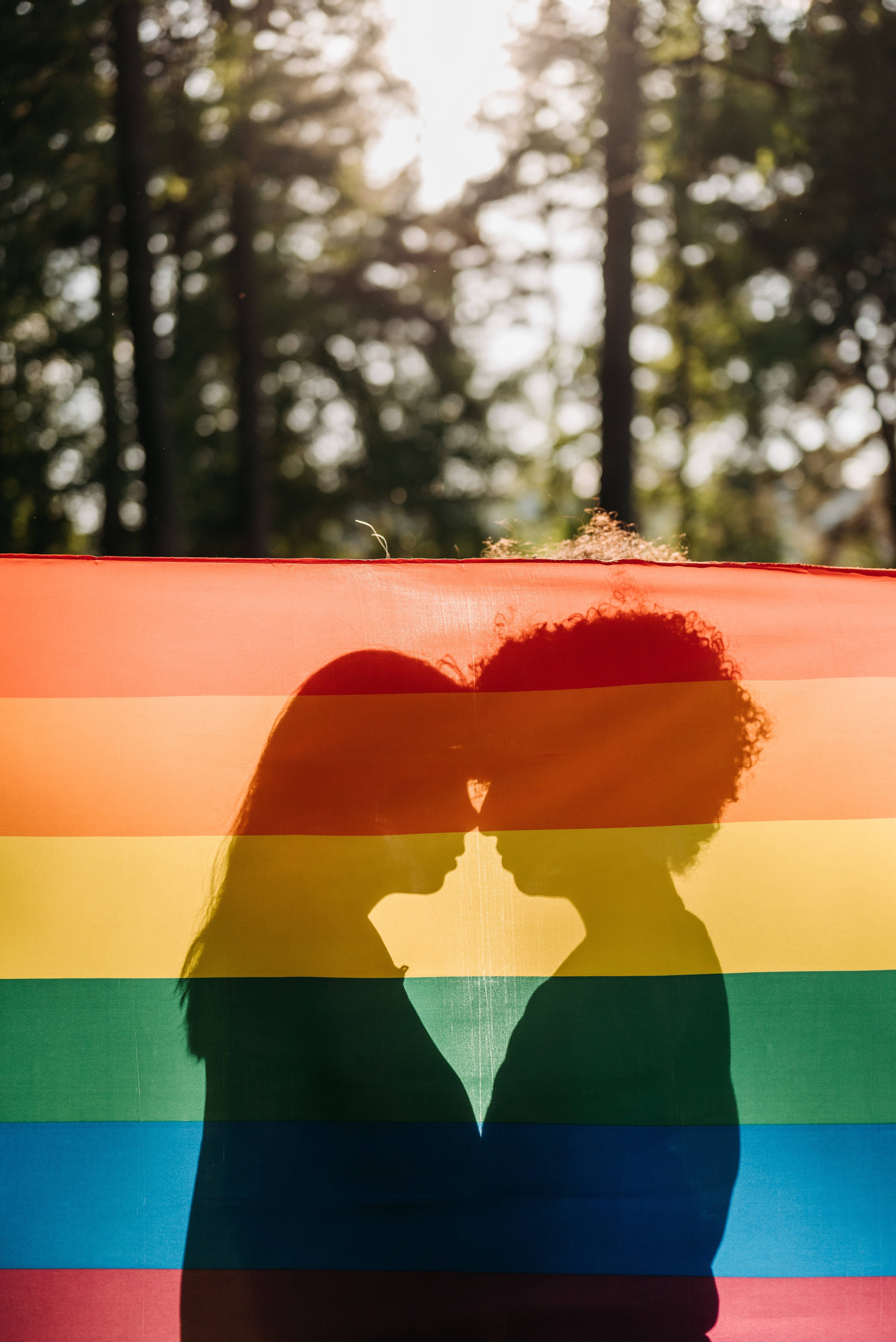 Pride Flag 桌布 壁紙 — 陽光普照的森林中，兩個人影在彩虹旗後接吻的剪影。