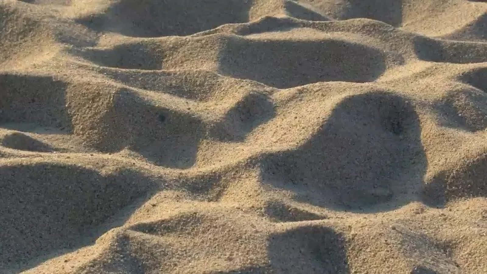 sand 桌布 壁紙 — 陽光普照的沙丘在明亮的日光下泛起柔和的金色陰影漣漪。