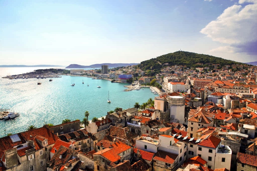 Croatia 桌布 壁紙 — 陽光普照的海岸小鎮鳥瞰圖，赤陶屋頂環抱著點綴著帆船的碧綠海灣。