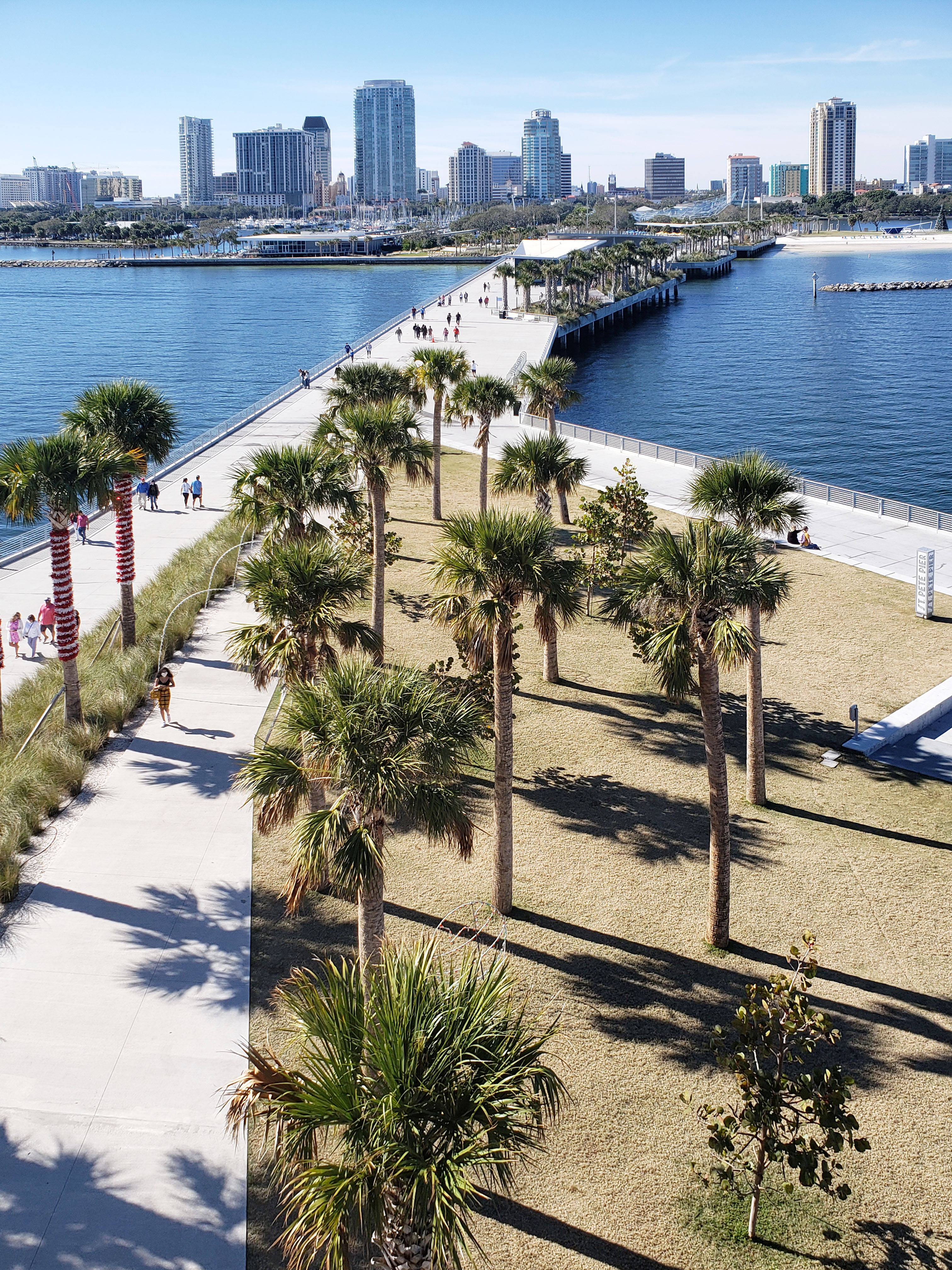 Dock 桌布 壁紙 — 陽光普照的海濱長廊，兩旁種滿棕櫚樹，通往現代城市天際線的鳥瞰圖。