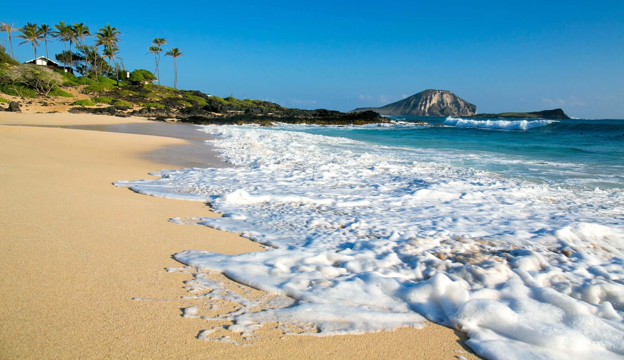 Hawaiian Beach 桌布 壁紙 — 陽光普照的熱帶海灘，金色沙浪拍打海岸，棕櫚樹和遠處的火山島在清澈藍天下。