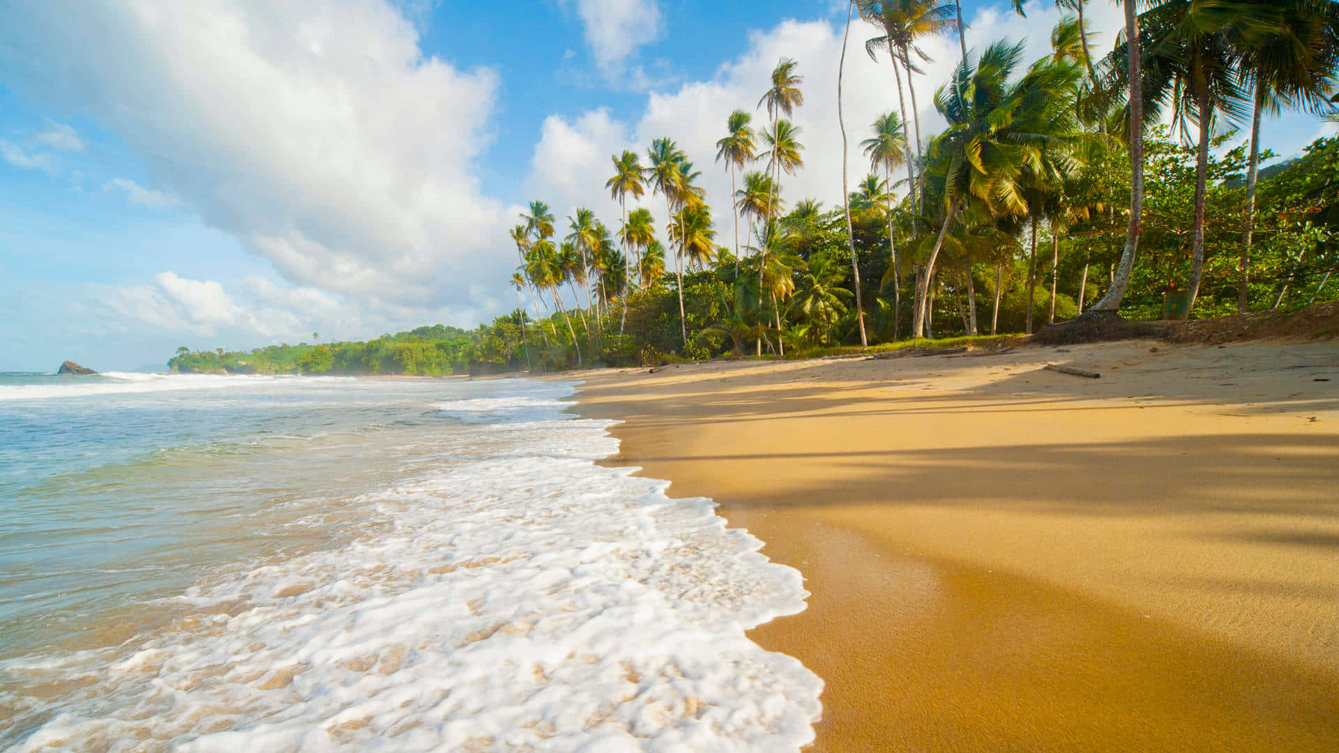 Seashore 桌布 壁紙 — 陽光普照的熱帶海灘，金色沙灘、棕櫚樹和溫柔的海浪，天空部分多雲的藍天。