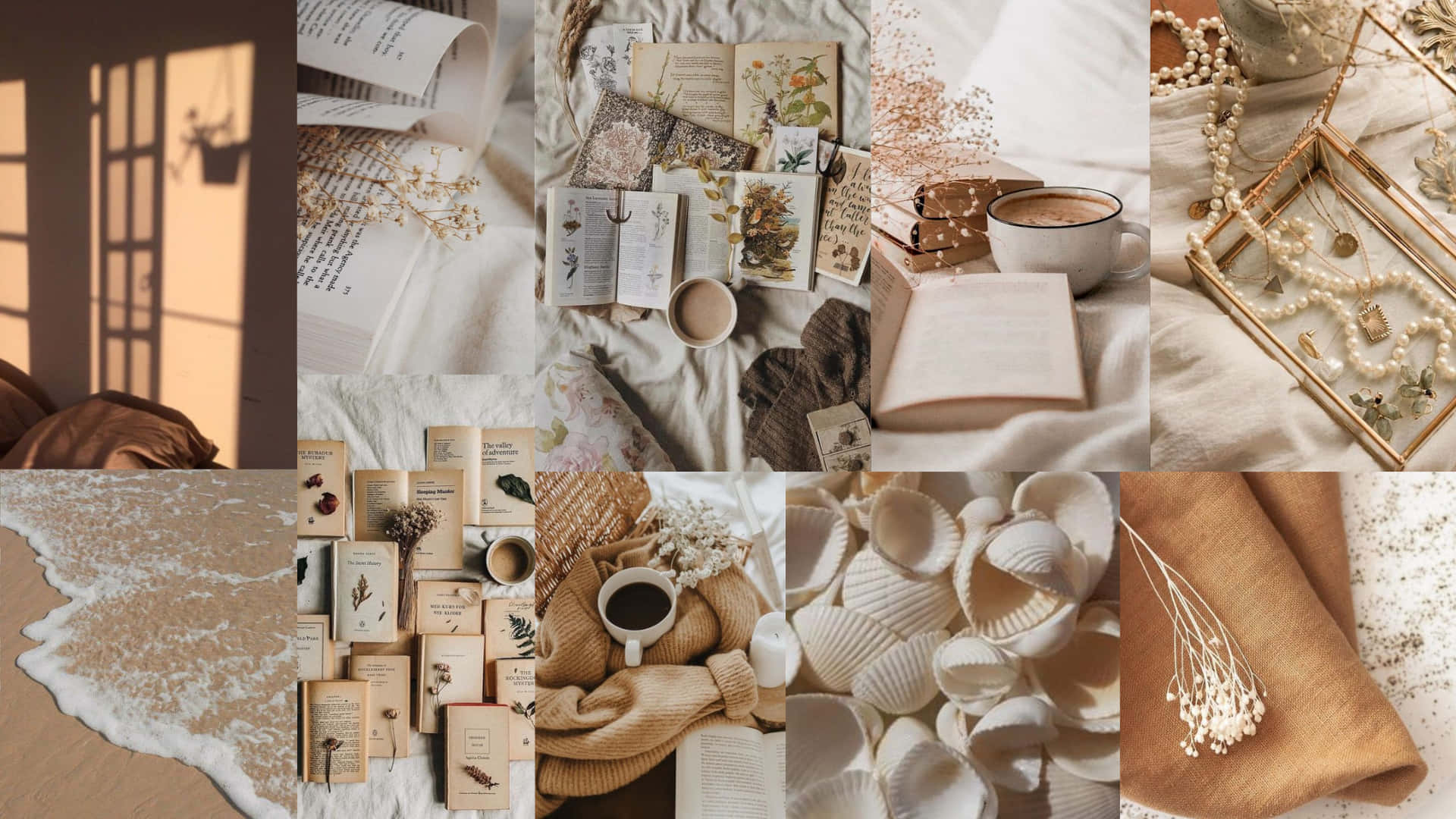 Neutral Aesthetic Desktop 桌布 壁紙 — 陽光普照的舒適靜物拼貼，包含書籍、咖啡殼和乾花，採用溫暖的大地色調。