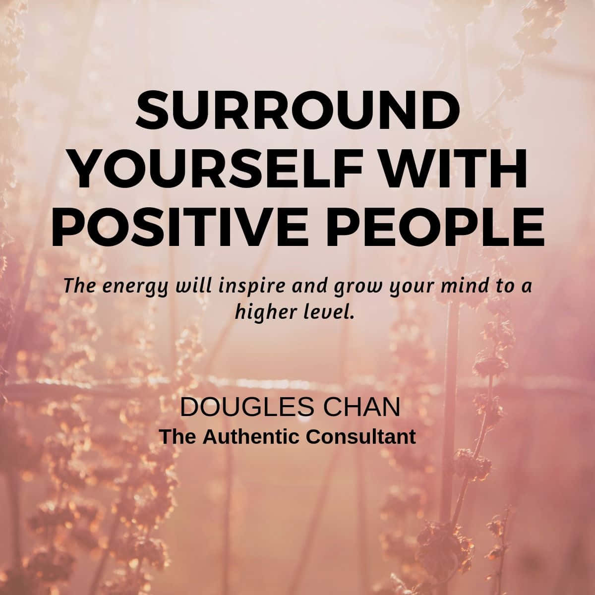 Positive Quotes 桌布 壁紙 — 陽光普照的花卉背景，粗體文字敦促你圍繞積極的人以促進個人成長。