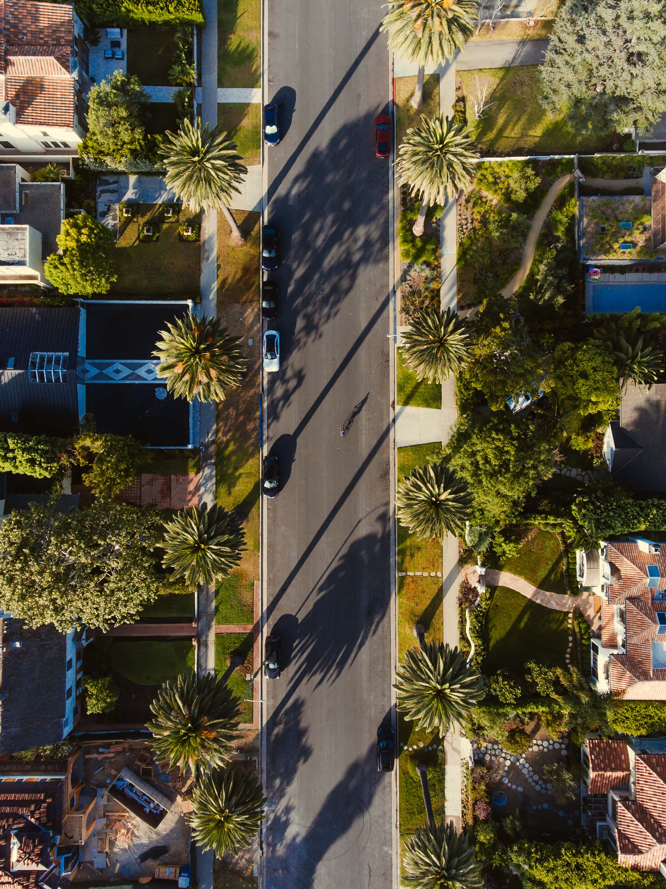 California Aesthetic 桌布 壁紙 — 陽光普照的郊區街道的鳥瞰圖，兩旁種滿棕櫚樹和房屋，投下長長的影子。