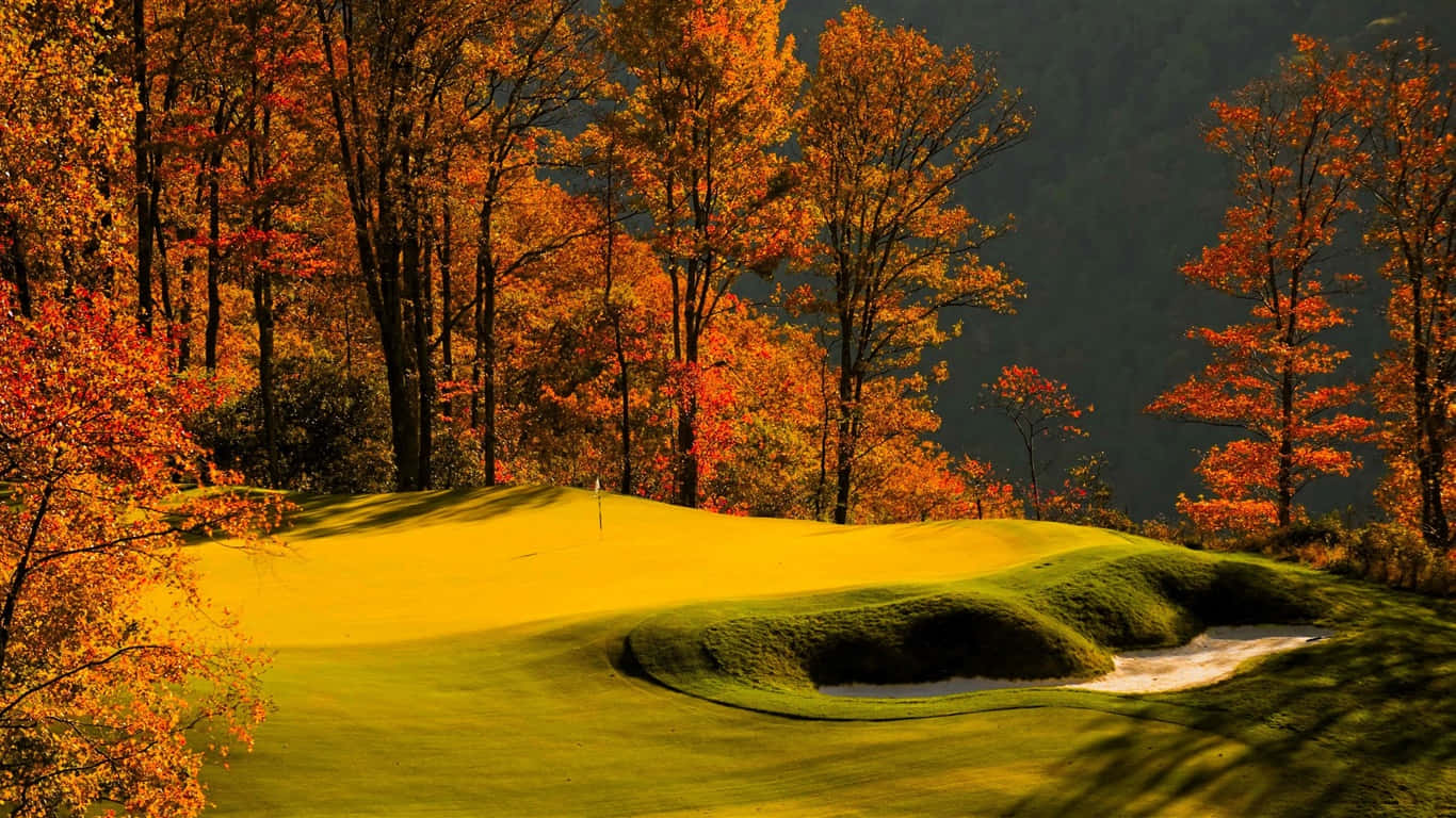 1366x768 Golf Course 桌布 壁紙 — 陽光普照的高爾夫果嶺，四周是火紅的秋樹，在球道上投下長長的影子。