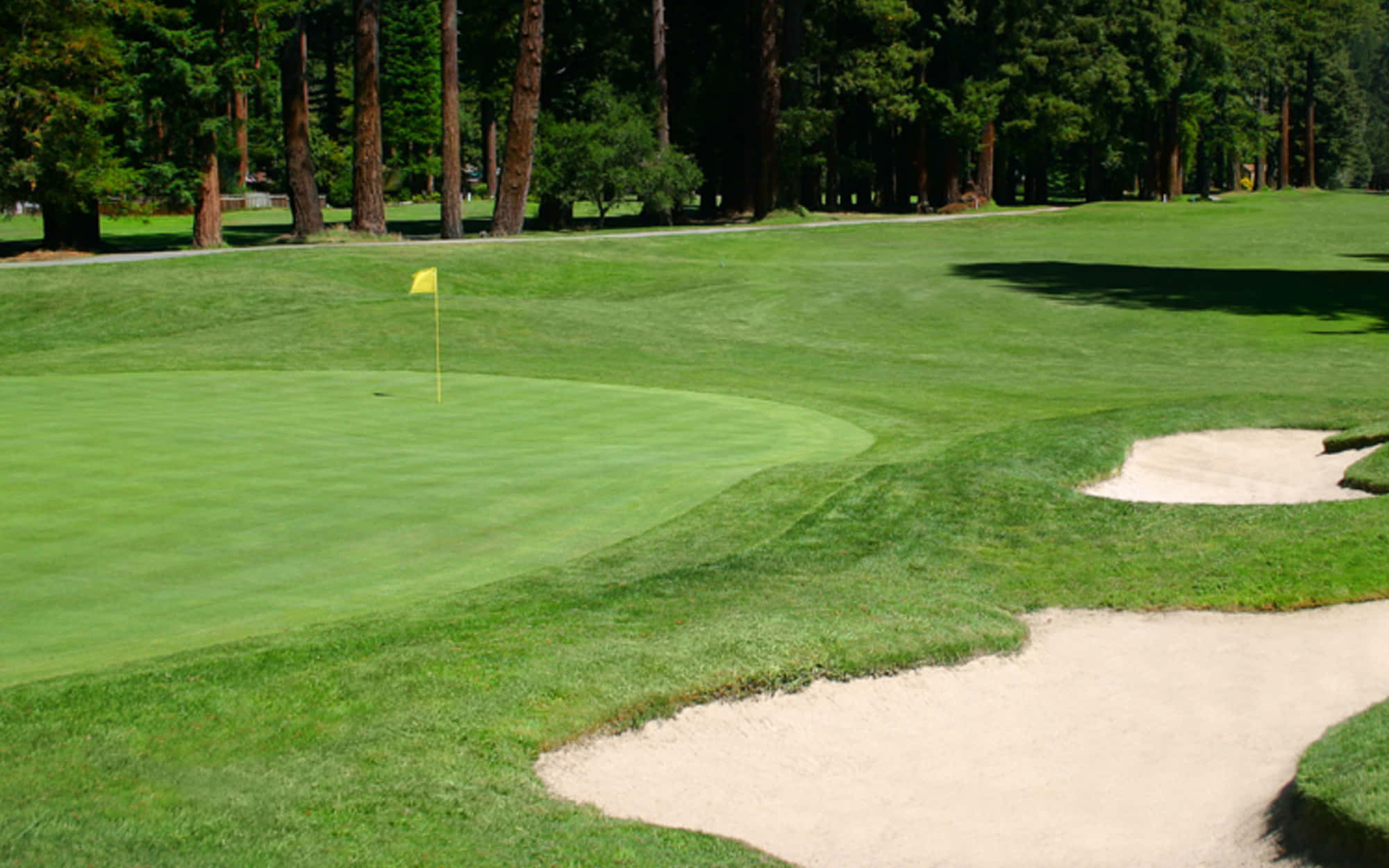 Golf Green 桌布 壁紙 — 陽光普照的高爾夫果嶺，黃色旗幟隱藏在茂密的樹木和沙坑之間。