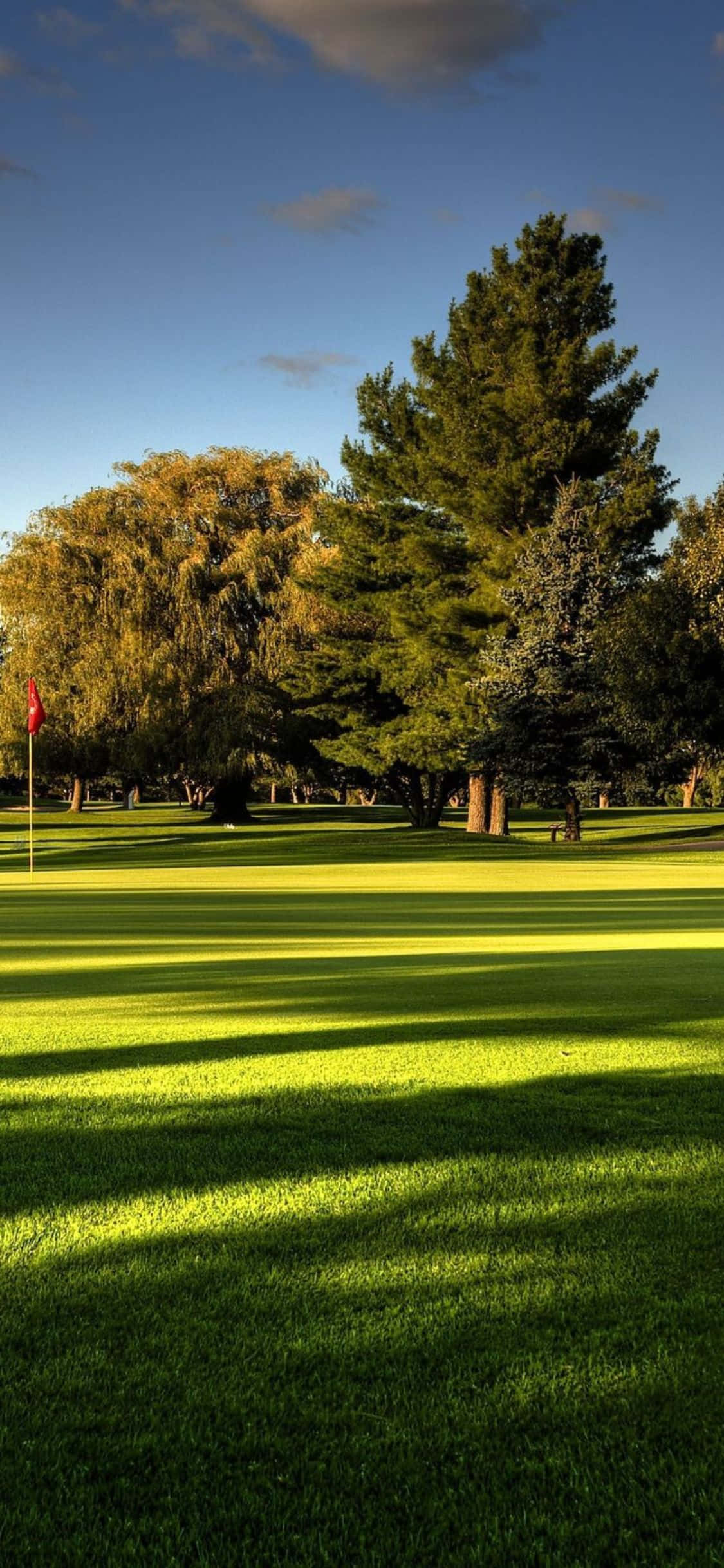 iPhone X Golf Course 桌布 壁紙 — 陽光普照的高爾夫球場，充滿活力的綠色球道和高大的樹木在清澈的藍天下投下長長的影子。