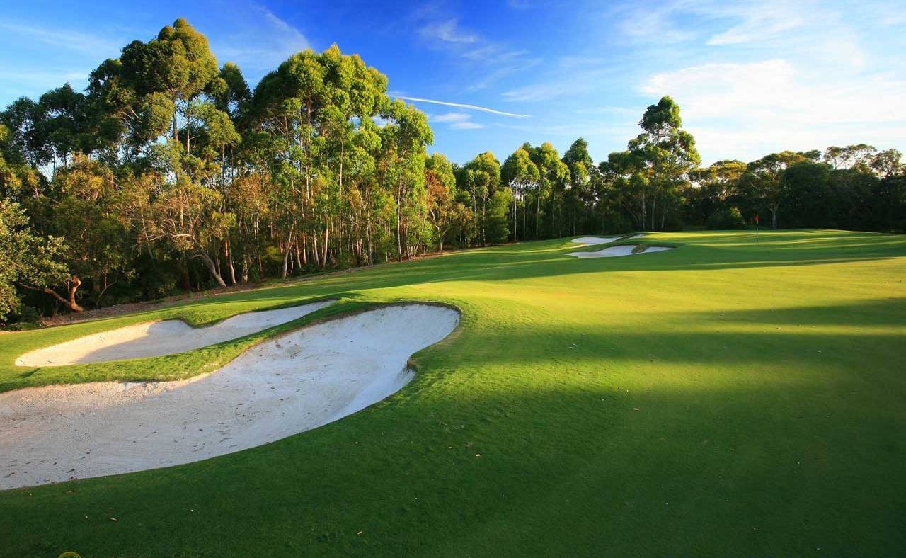 Golfing 桌布 壁紙 — 陽光普照的高爾夫球場，翠綠的球道和沙坑被茂密的樹木環繞，上方是清澈的藍天。