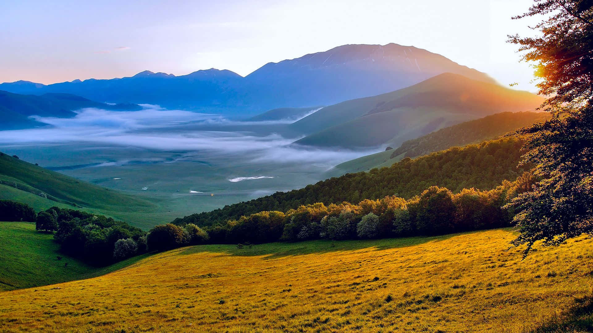 Summer Landscape 桌布 壁紙 — 陽光灑滿金色的山丘和茂密的森林，霧氣在日出時分穿過高聳山脈下的山谷。