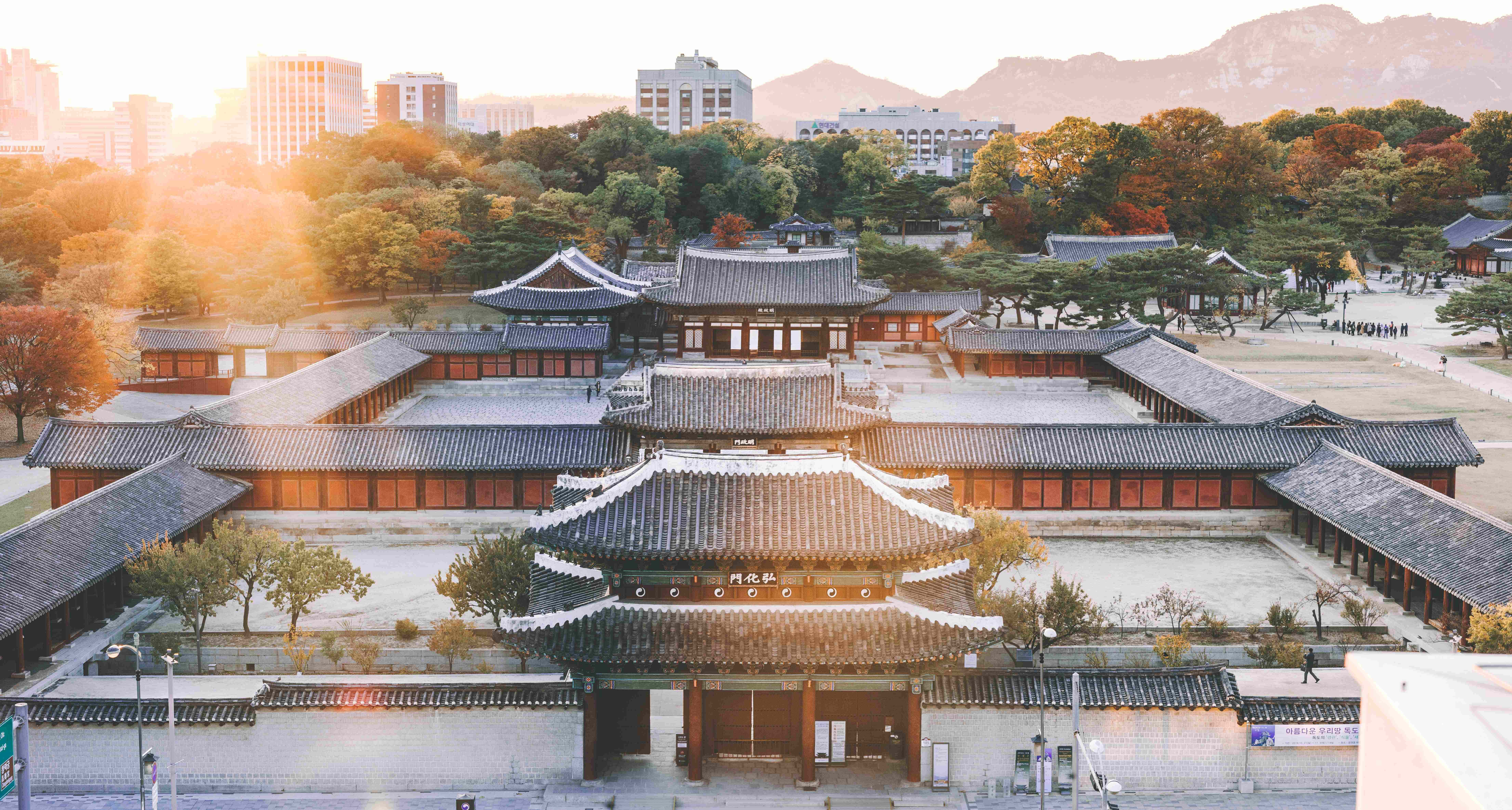 韓國 桌布 壁紙 — 陽光灑落在傳統韓國宮殿建築上，周圍是秋天的樹木和遠處的現代城市建築。