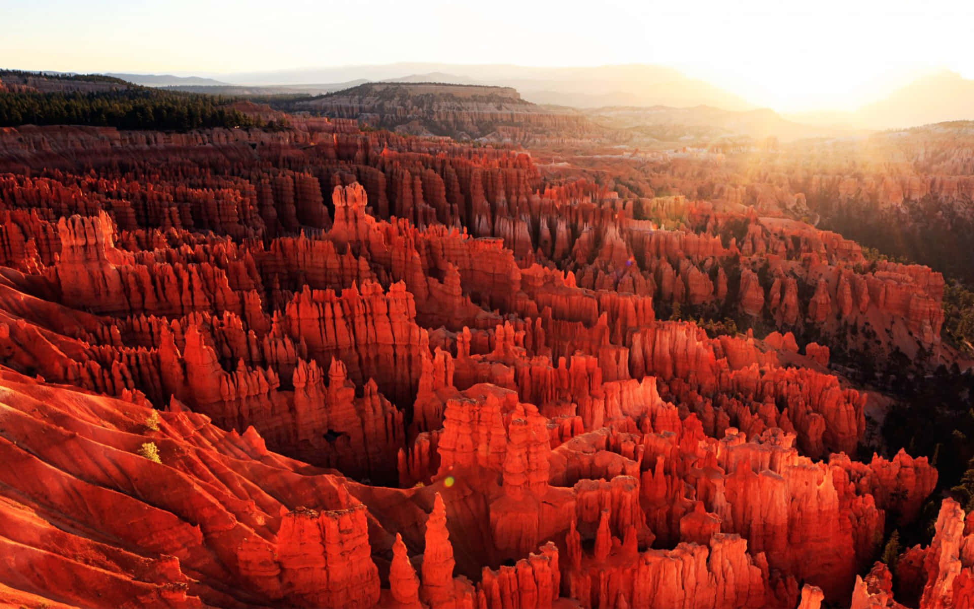 National Parks 桌布 壁紙 — 陽光灑落在廣闊峽谷景觀中高聳的紅色 hoodoos 上，呈現溫暖的金色光芒。