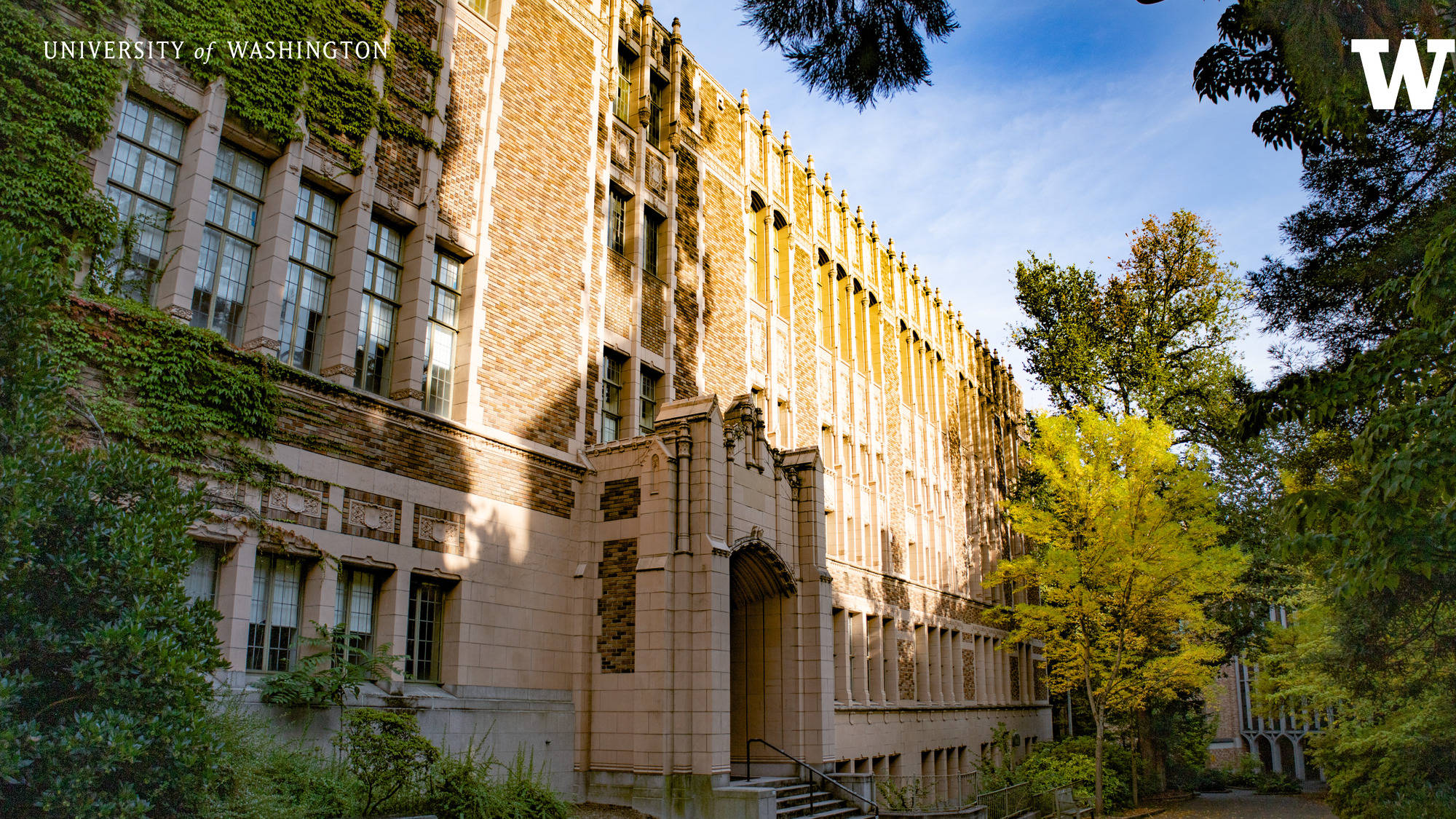 Building 桌布 壁紙 — 陽光灑落在歷史悠久的大學建築上，建築物有常春藤覆蓋的牆壁和高大的窗戶，周圍環繞著秋天的樹木。