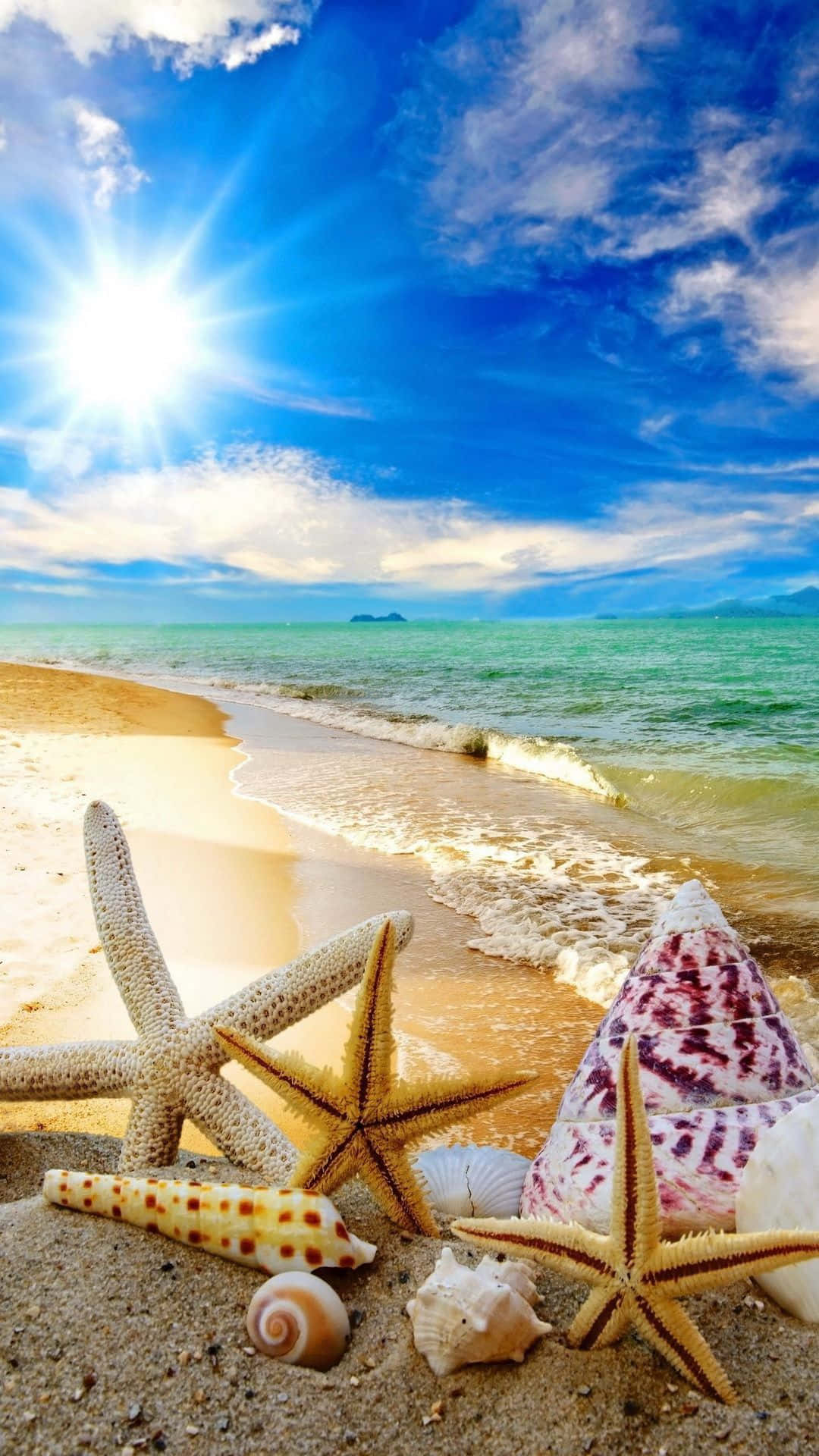 Beach Scene 桌布 壁紙 — 陽光灑落在碧綠色的海洋上，海星和貝殼在金色沙灘上靠近溫柔的海浪休息。