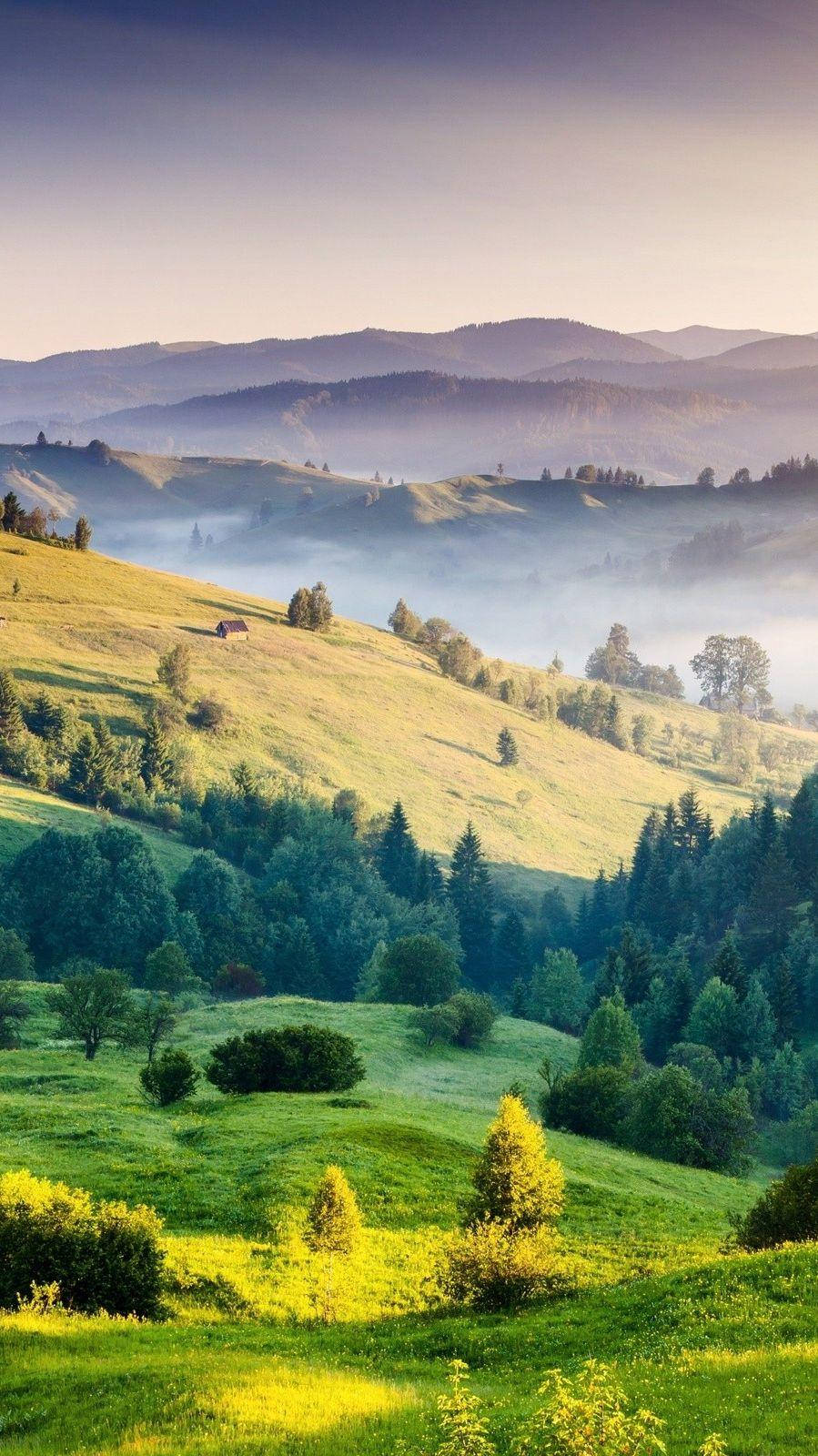 風景 桌布 壁紙 — 陽光灑落在起伏的綠色山丘和森林上，薄霧在柔和的紫色天空下飄過山谷。