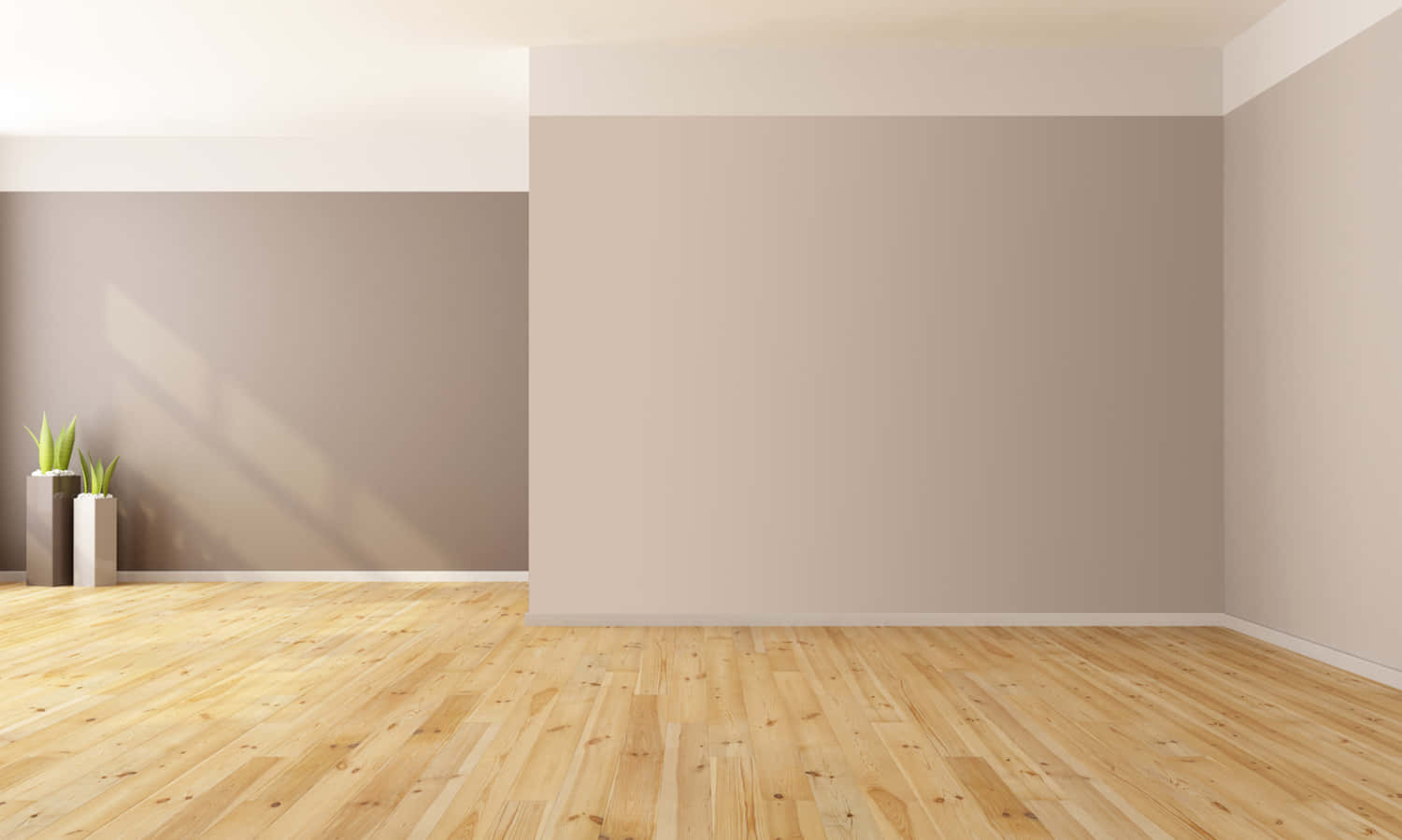 room 桌布 壁紙 — 陽光灑進一個極簡主義的空房間，房間內有淺色木地板和米色牆壁，並以兩盆盆栽植物作為點綴。