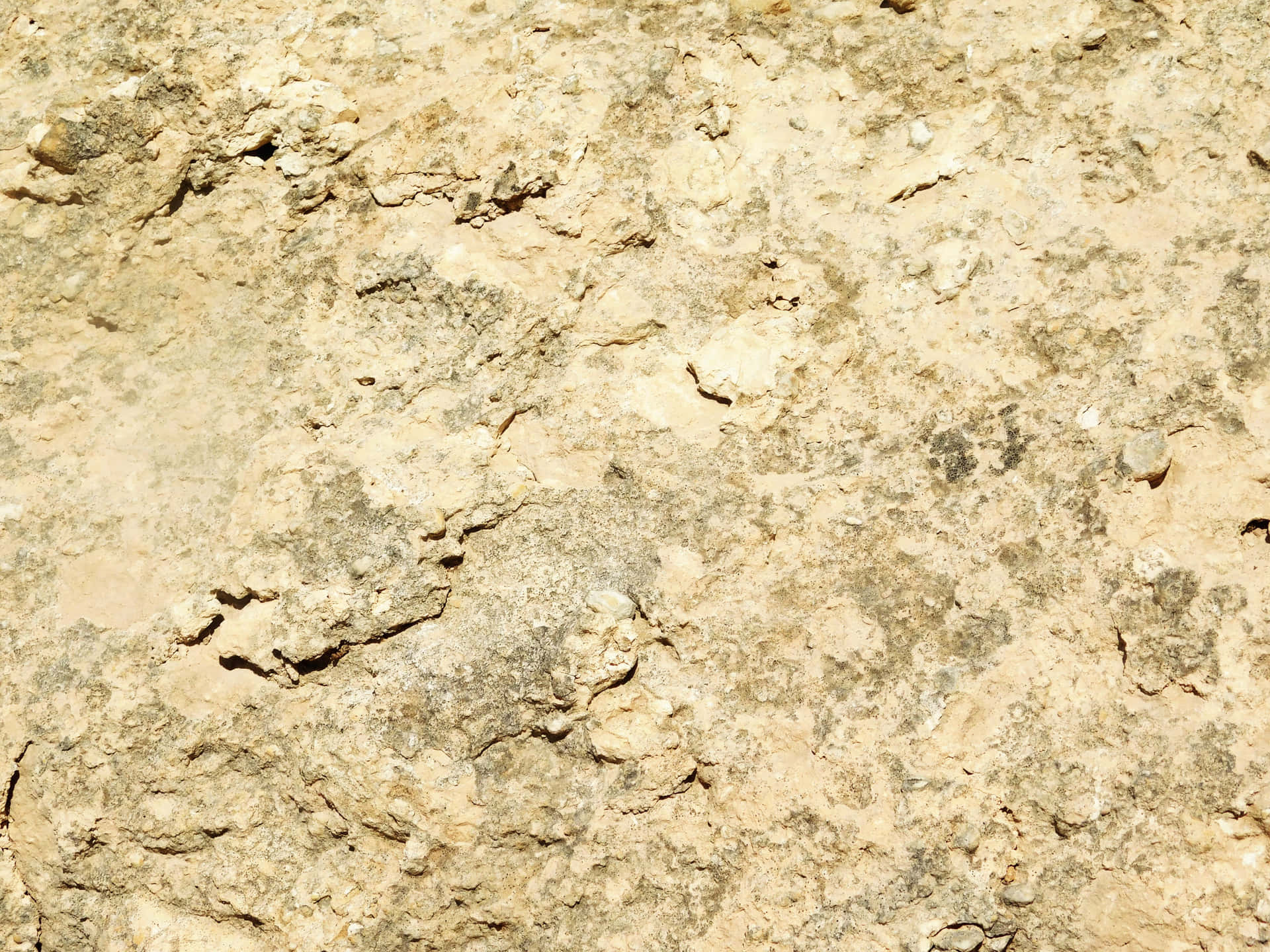 Stone texture 壁紙 — 陽光烘烤的大地特寫，裂開的米色和灰色土壤顯露出粗糙的自然紋理。