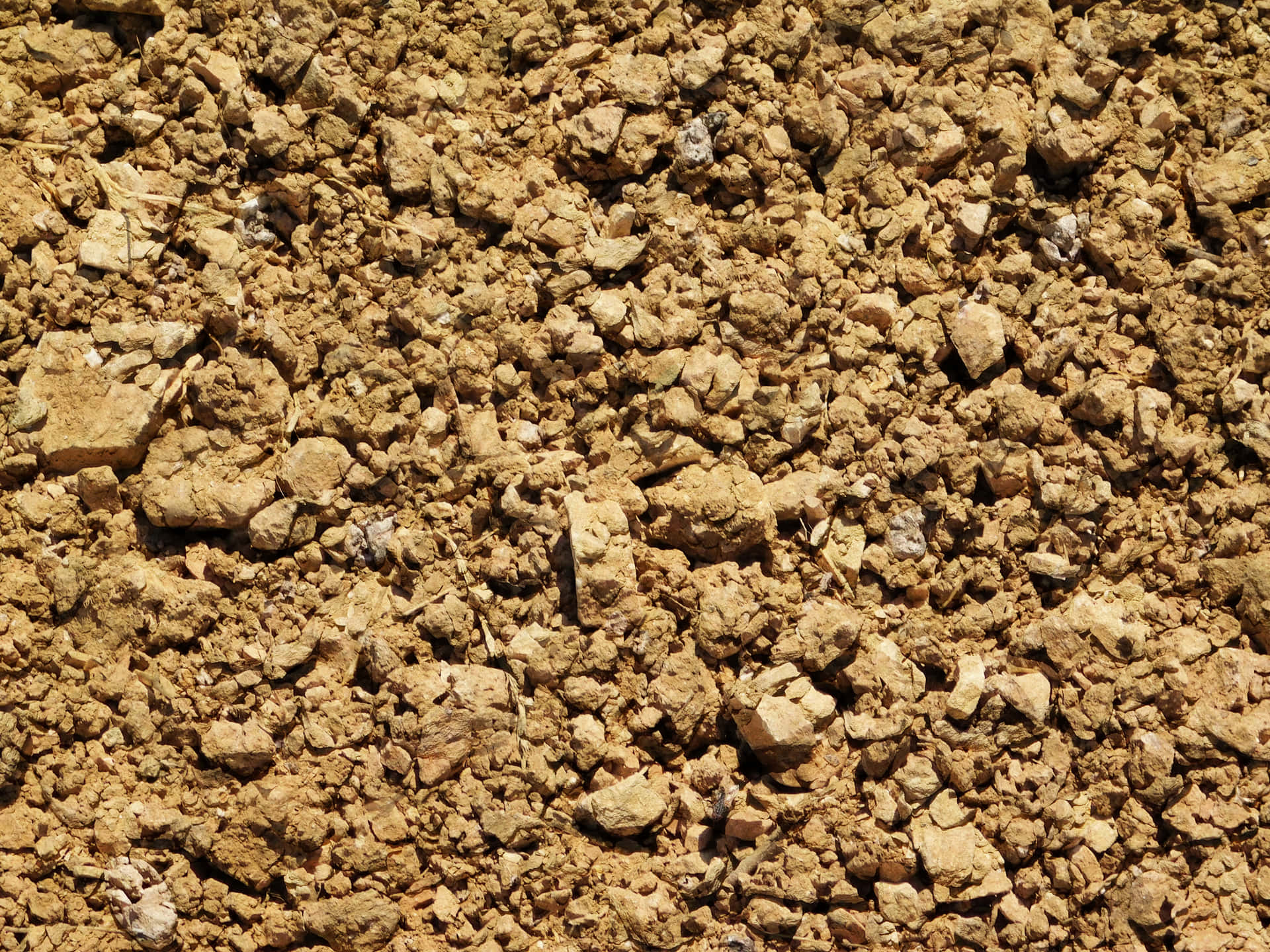 Earth texture 壁紙 — 陽光照射下乾裂泥土的特寫，帶有粗糙質地的土塊和散落的小石頭。