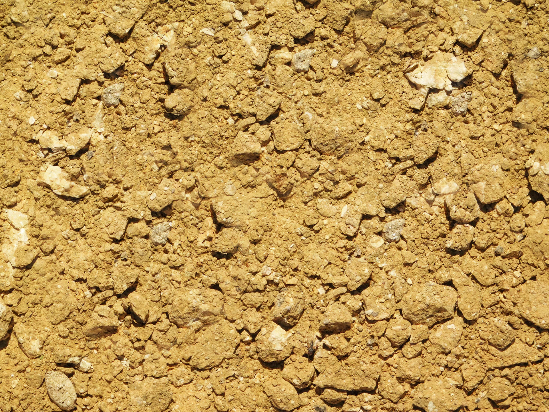 Earth texture 壁紙 — 陽光照射下的乾燥泥土特寫，散佈著小石塊和土塊。