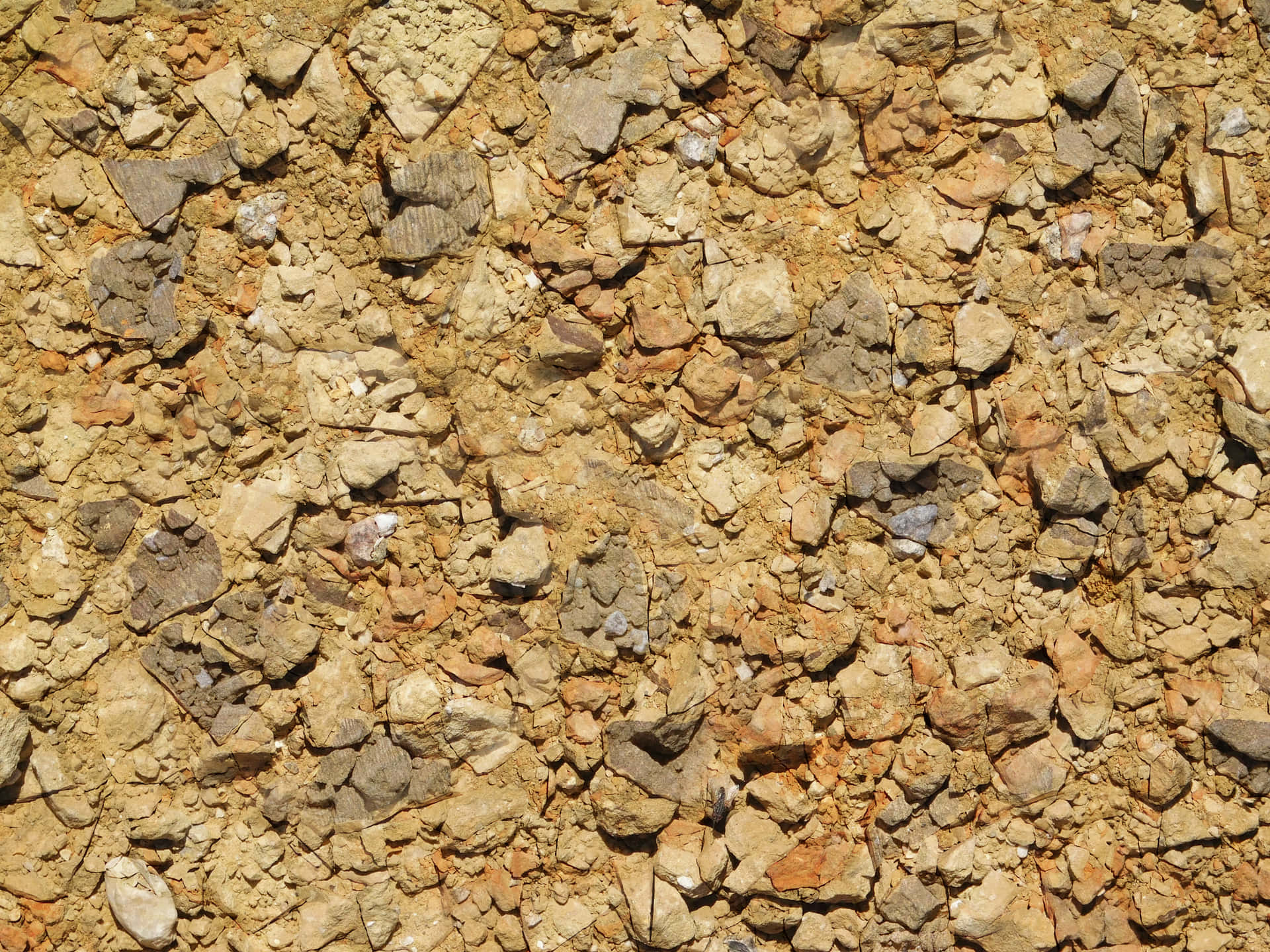 Earth texture 壁紙 — 陽光照射下的岩石地形特寫，呈現多種大地色調和碎裂的石頭。