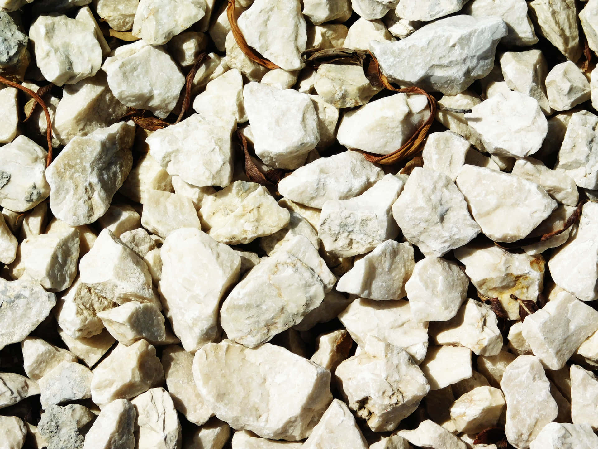 Stone texture 壁紙 — 陽光照射下的白色碎石特寫，散落著棕色乾枯的小樹枝。