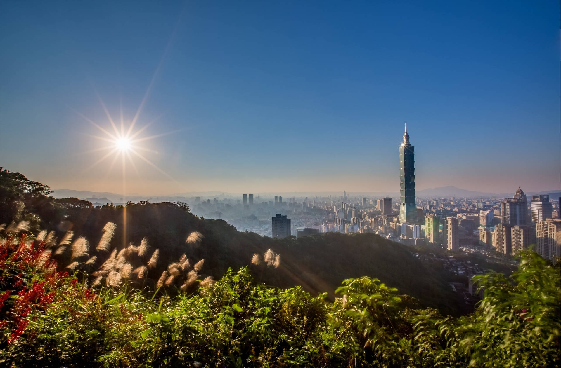 台北城市景觀的日出，前景有台北101和綠色山坡。