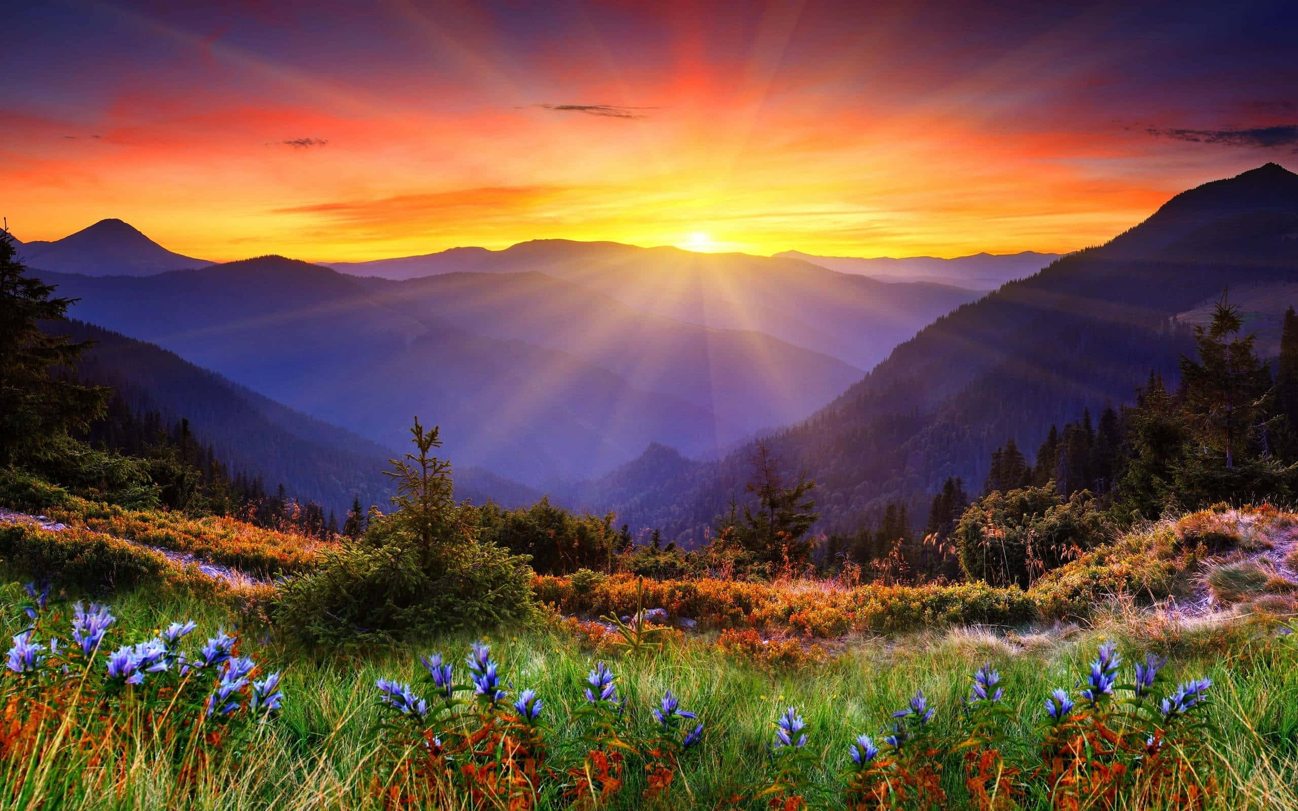 Scenic Desktop 桌布 壁紙 — 陽光照射在層層疊疊的山脊上，前景的草地上盛開著紫色的野花。