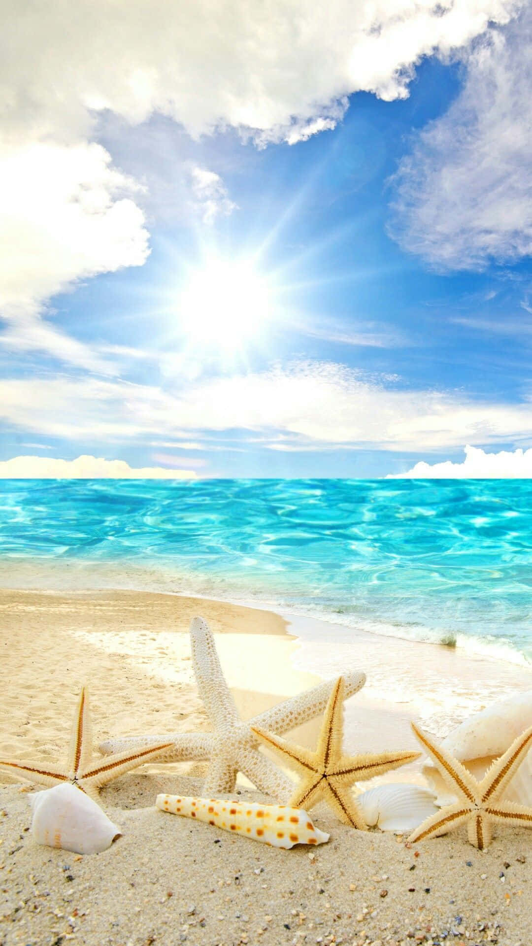 夏天 桌布 壁紙 — 陽光照射在碧綠的海浪上，海浪拍打著散落著海星和貝殼的沙灘。