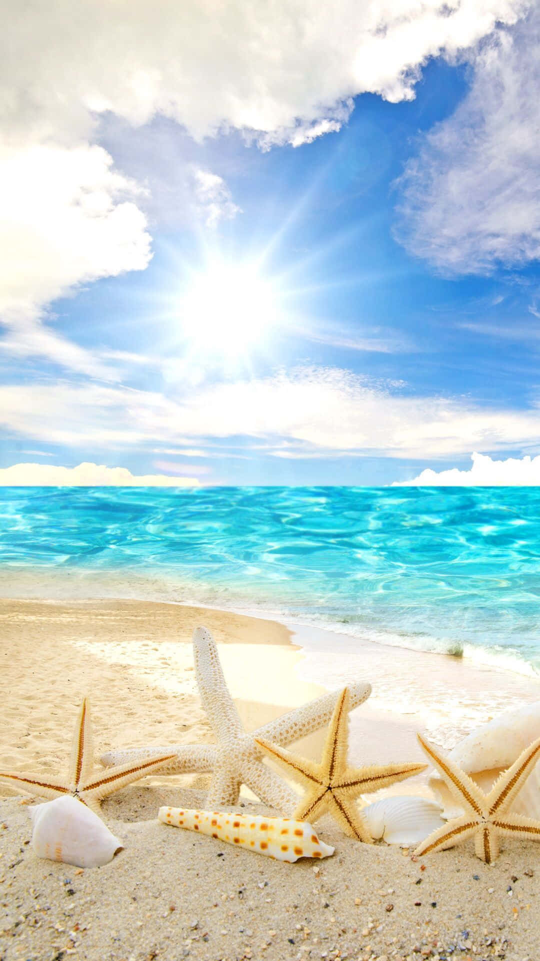 Beach Scene 桌布 壁紙 — 陽光照射在碧綠色的海浪上，拍打著散落著海星和貝殼的沙灘。