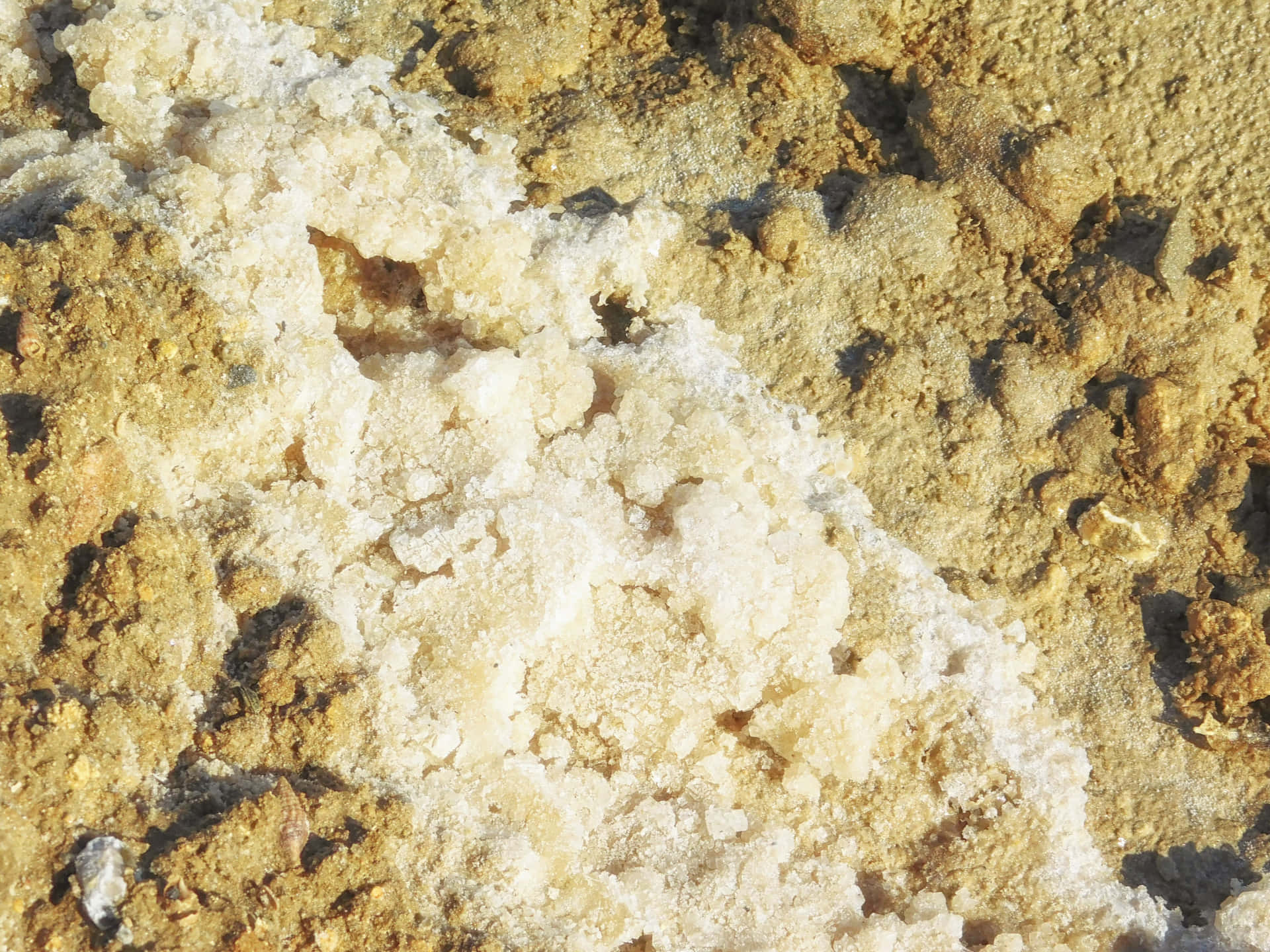 Salt 壁紙 — 陽光照射的金棕色土地上閃閃發光的結晶鹽層特寫。