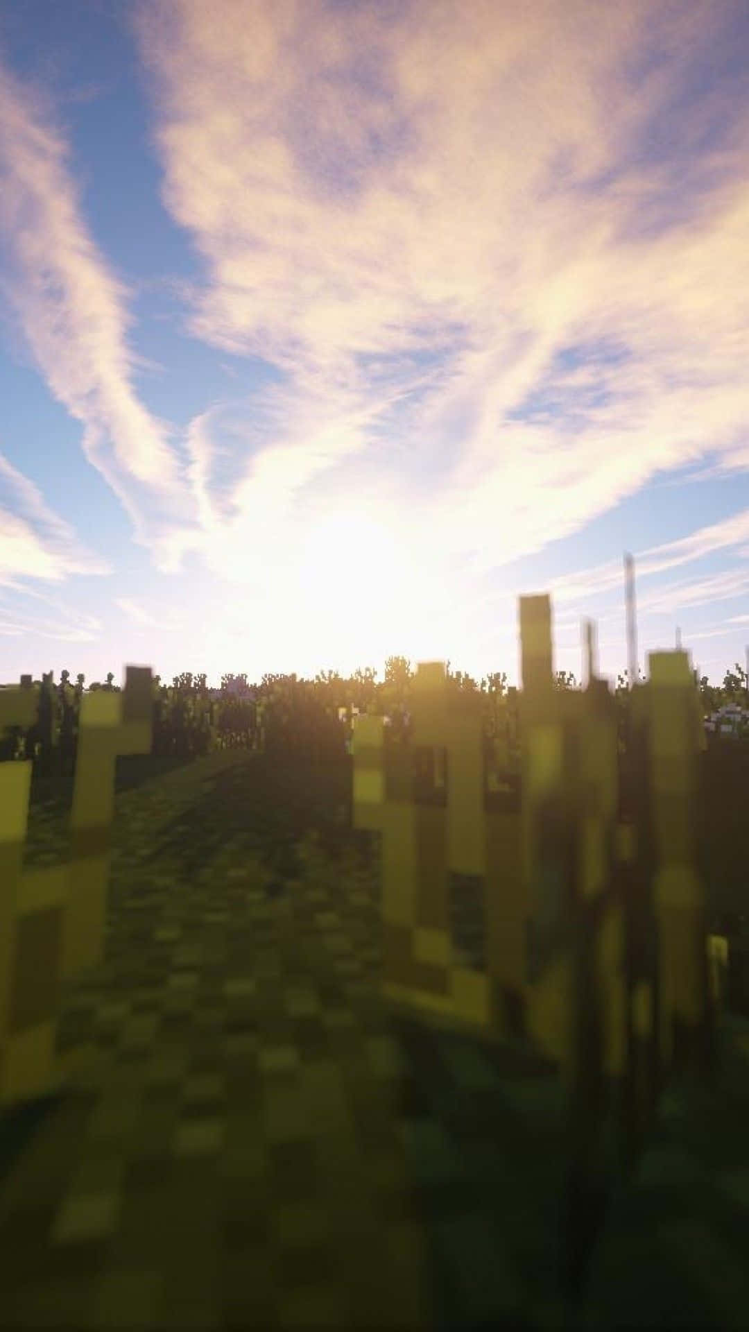 Minecraft Phone 桌布 壁紙 — 陽光照耀的Minecraft田野，像素化草地和樹木，天空鮮豔，雲朵輕柔。
