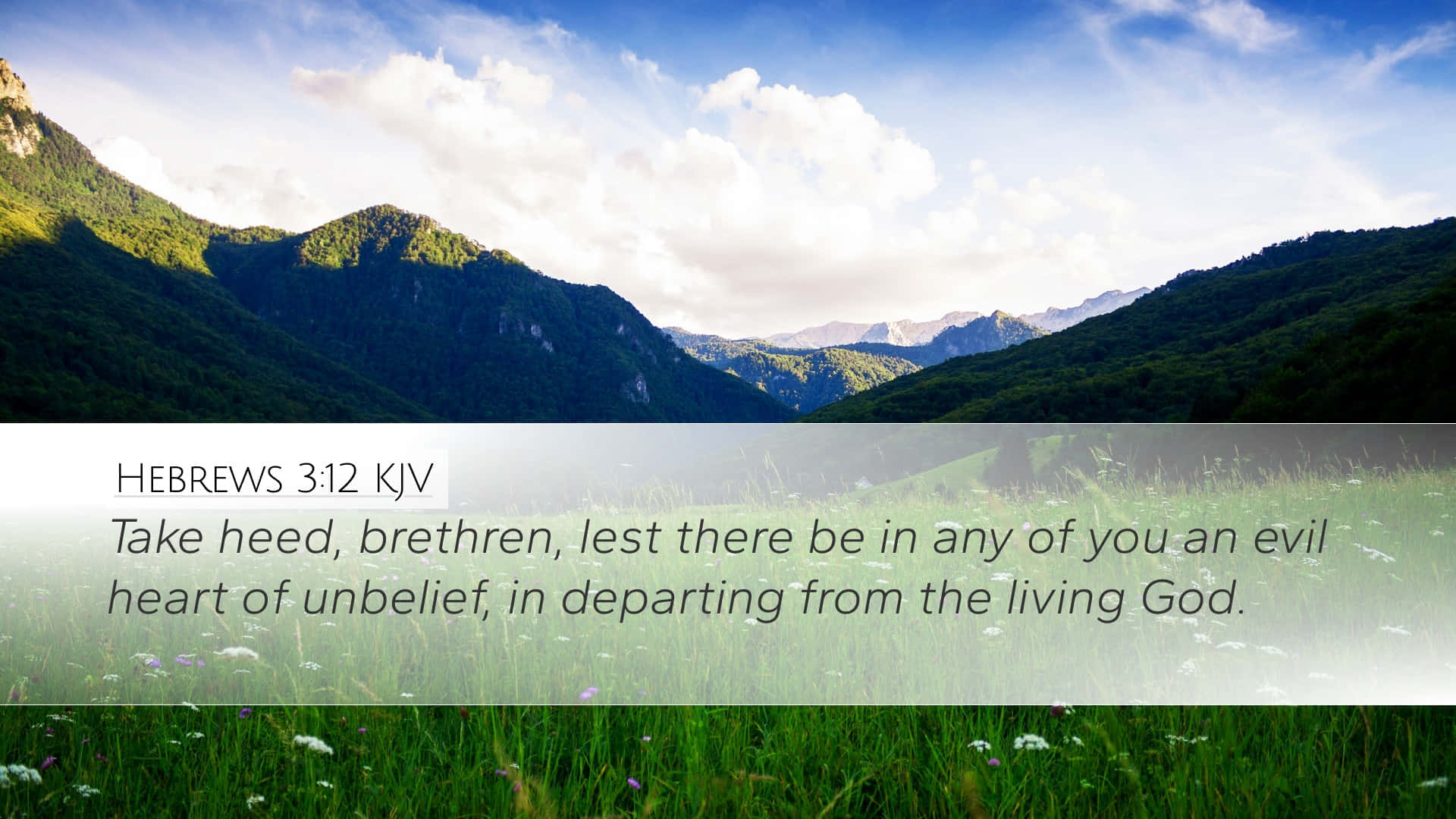 Christian Quotes 桌布 壁紙 — 陽光照耀的山谷，擁有茂密的綠色山坡，並在草地前景上疊加經文。