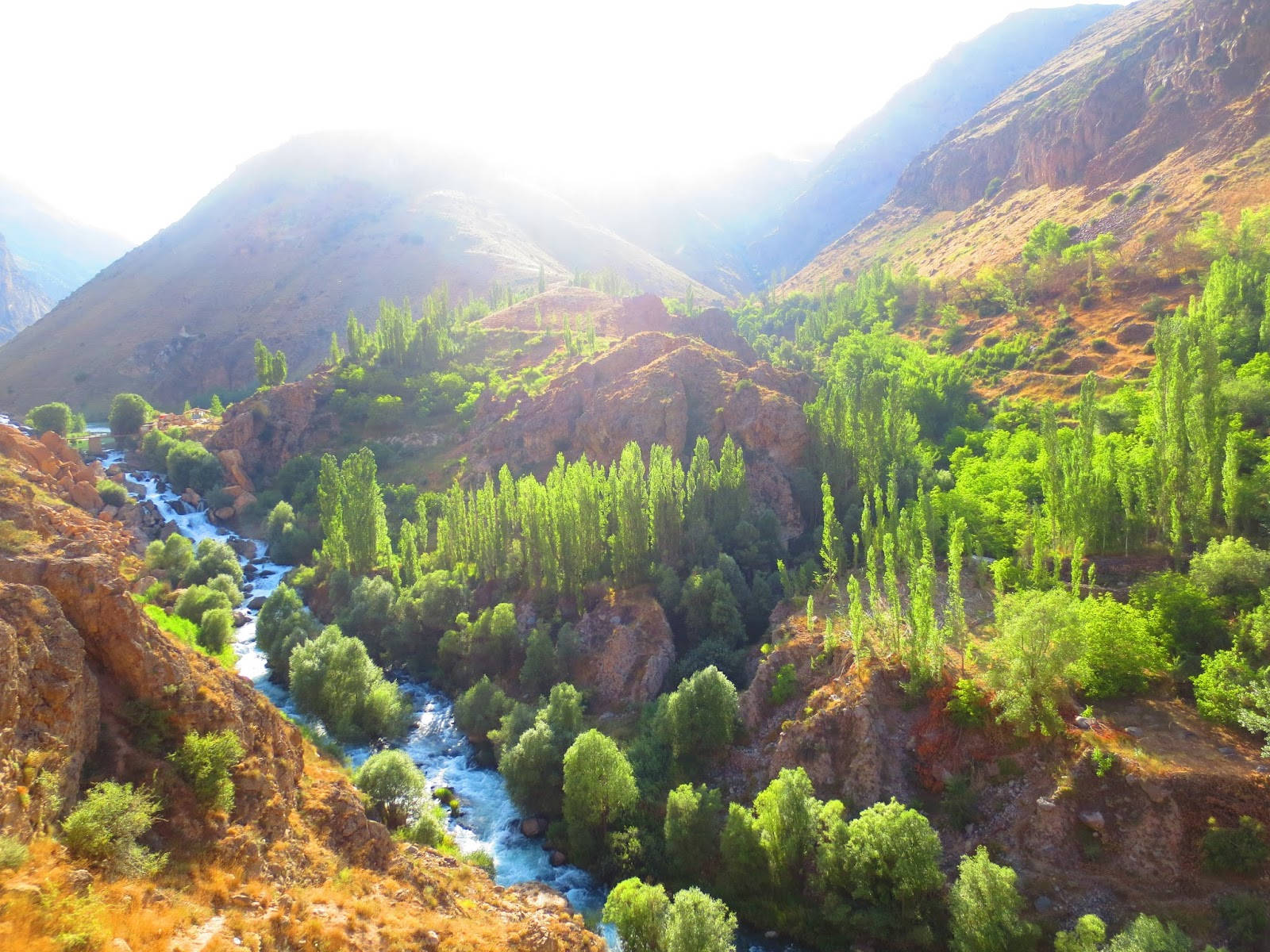Iran 桌布 壁紙 — 陽光照耀的山谷，湍急的河流蜿蜒穿過茂密的綠樹和崎嶇的棕色懸崖。