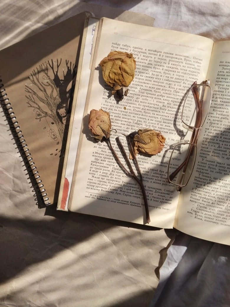 Aesthetic Books 桌布 壁紙 — 陽光照耀的打開書本，乾玫瑰和眼鏡擱在頁面上，旁邊是帶有樹木草圖的螺旋筆記本。