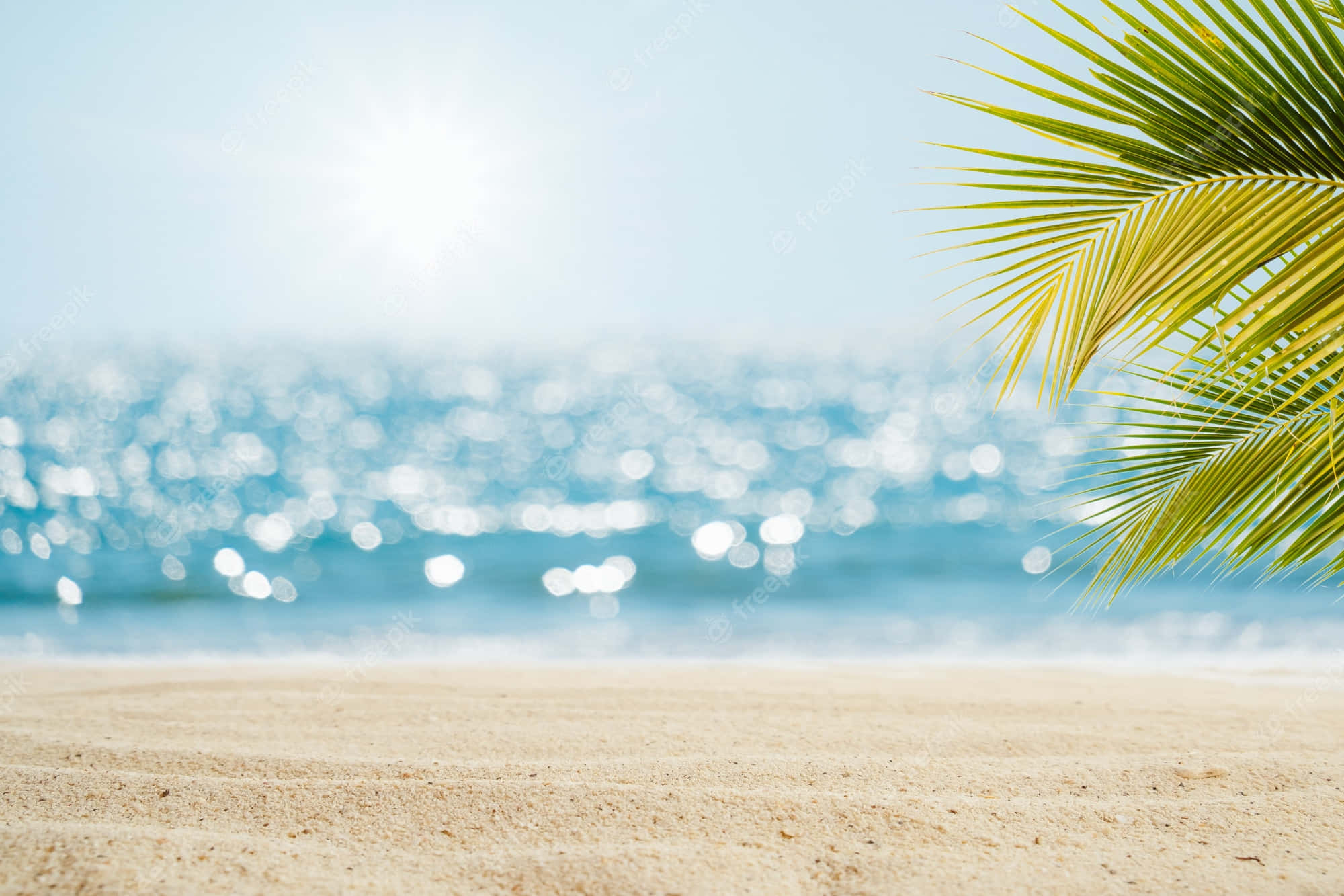 Beautiful Beach 桌布 壁紙 — 陽光照耀的沙灘，模糊的藍綠色海洋，前景有一片充滿活力的綠色棕櫚葉。